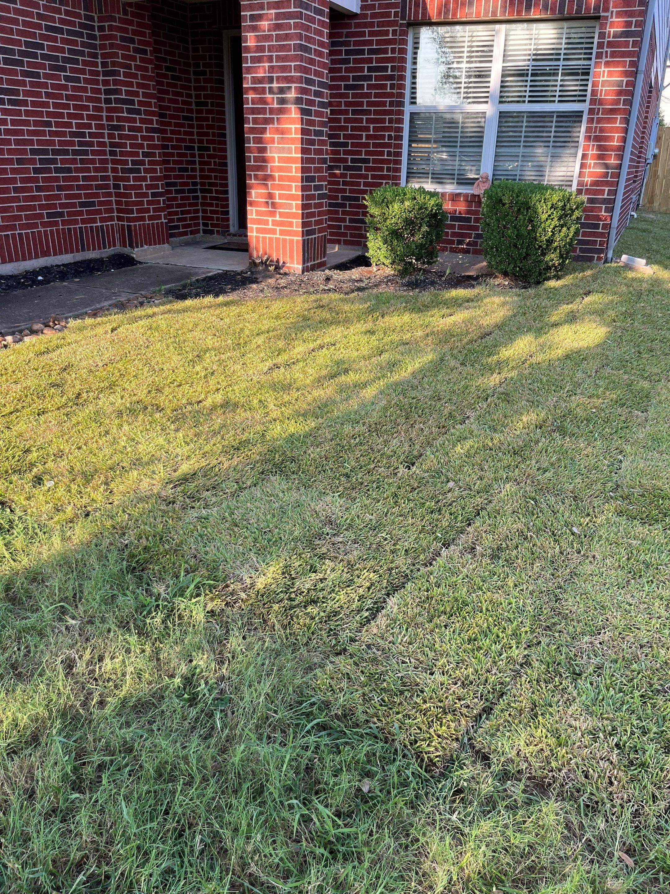 Sandra — Front & Backyard Leveling, Drainage, and Sod Transformation by Texas Urban Elements