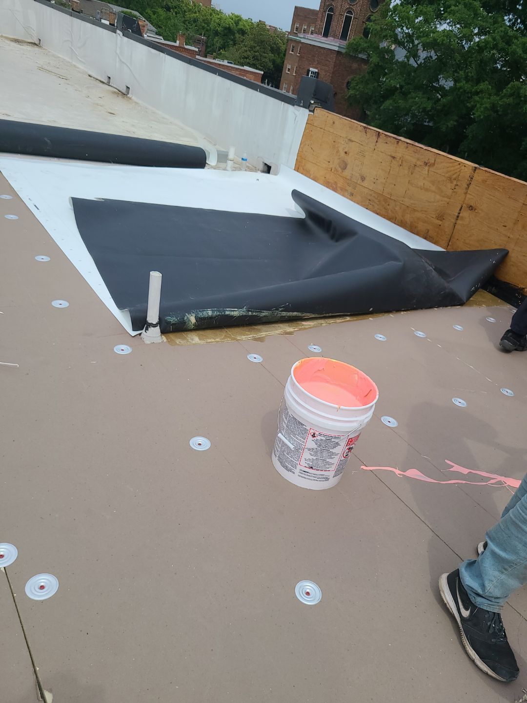 Alexandria: Carlisle Syntec TPO Flat Roof Installation by RM Banning, Inc.