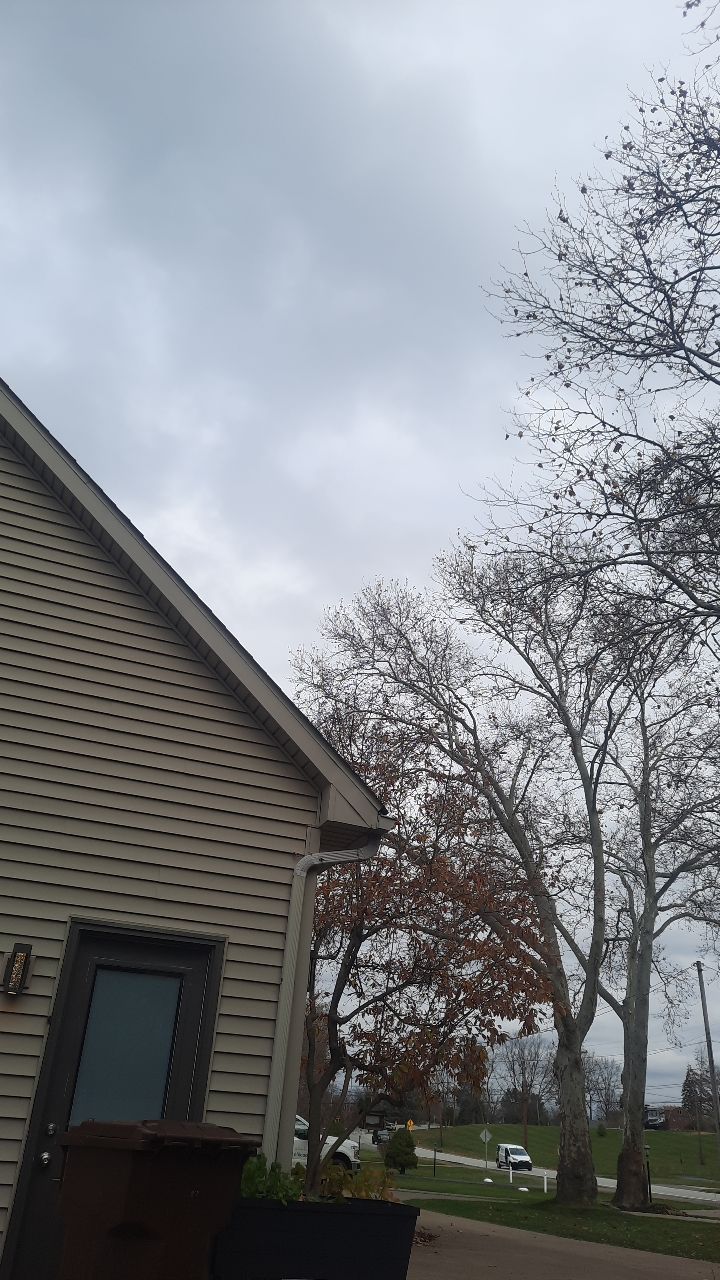 Tree Trimming using Tree Pruing by Mike Jones & Sons Tree Service LLC 