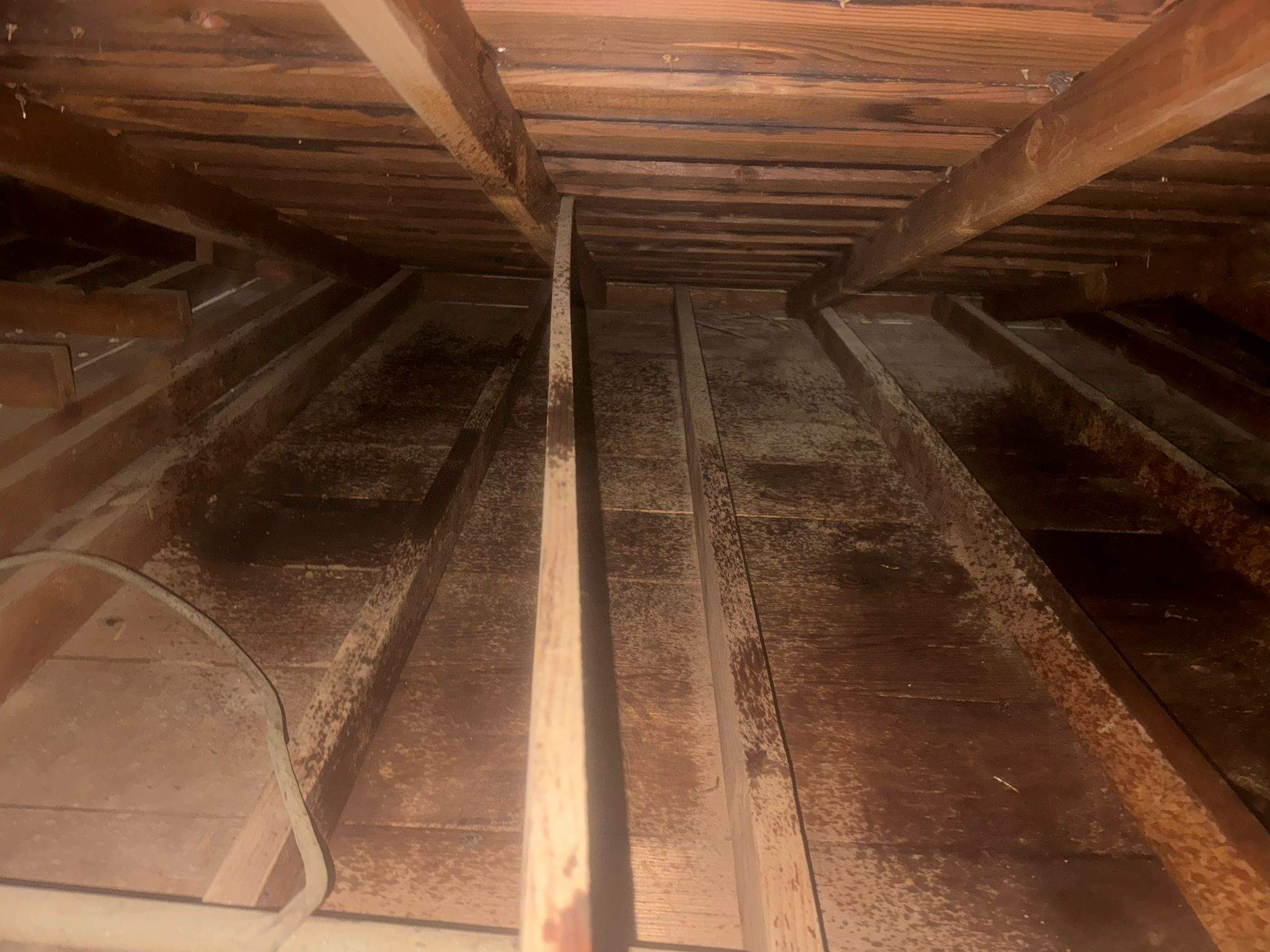 Project in Hastings Ranch Dr by Advanced Attic Solutions