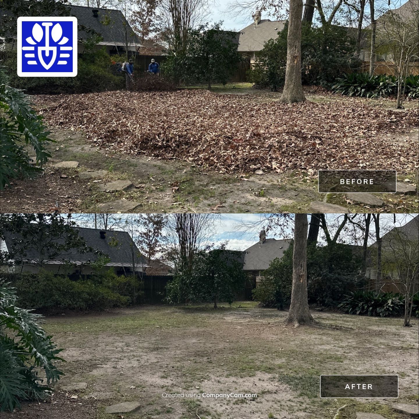 WINTER SERVICES: FULL LEAF JOB by CutScape, LLC.