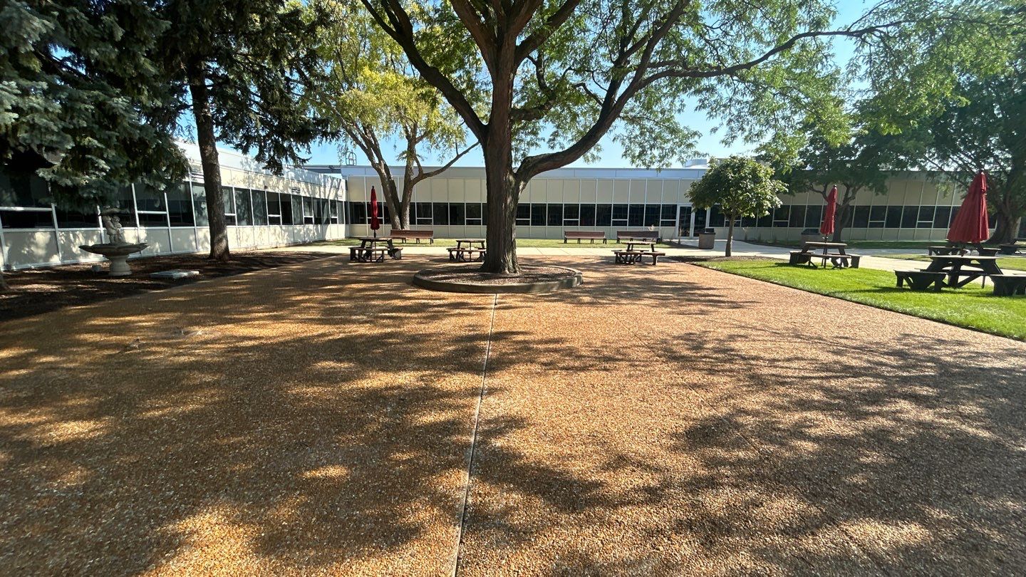 concrete using Algaecide, soft wash soap by Northern Power Washing LLC.