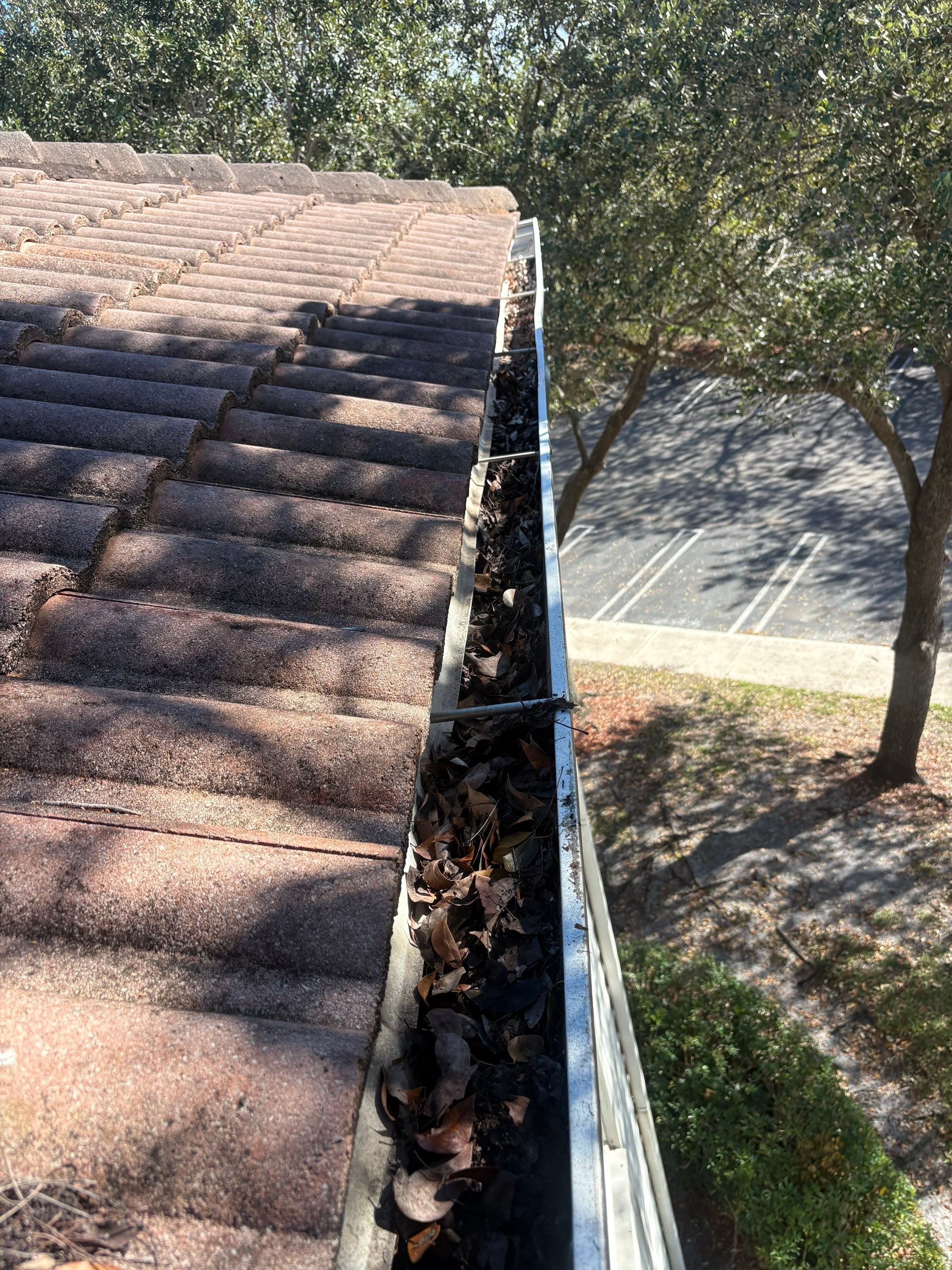 HOA gutter cleaning before photo.