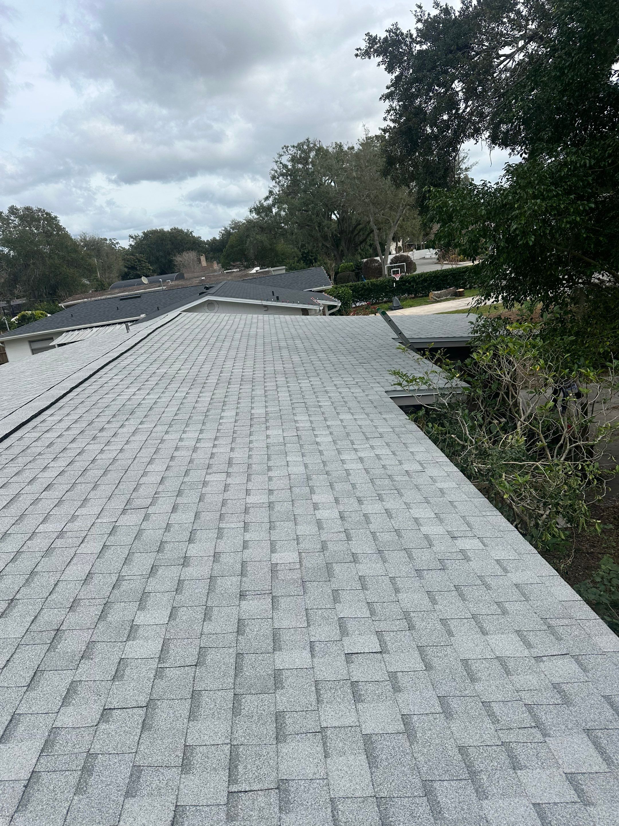 Shingle Reroof Replacement Orlando FL by Pinnacle Roofing Group
