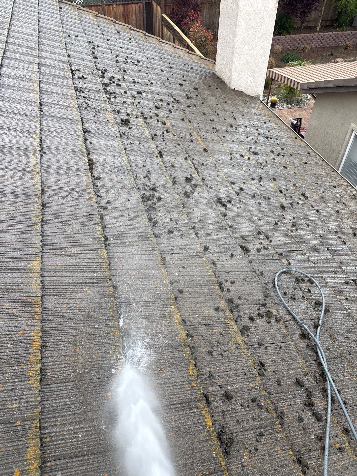 Moss Removal by Top Elevation