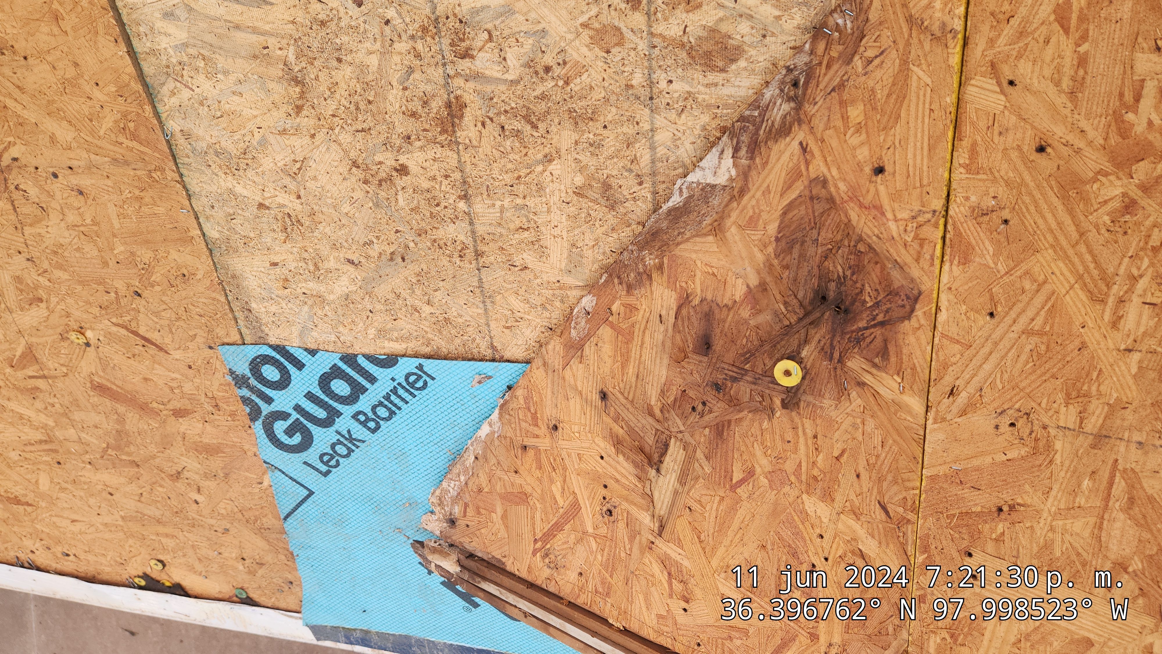 GAF Armorshield II Class 4 Shingle by Castillo Roofing