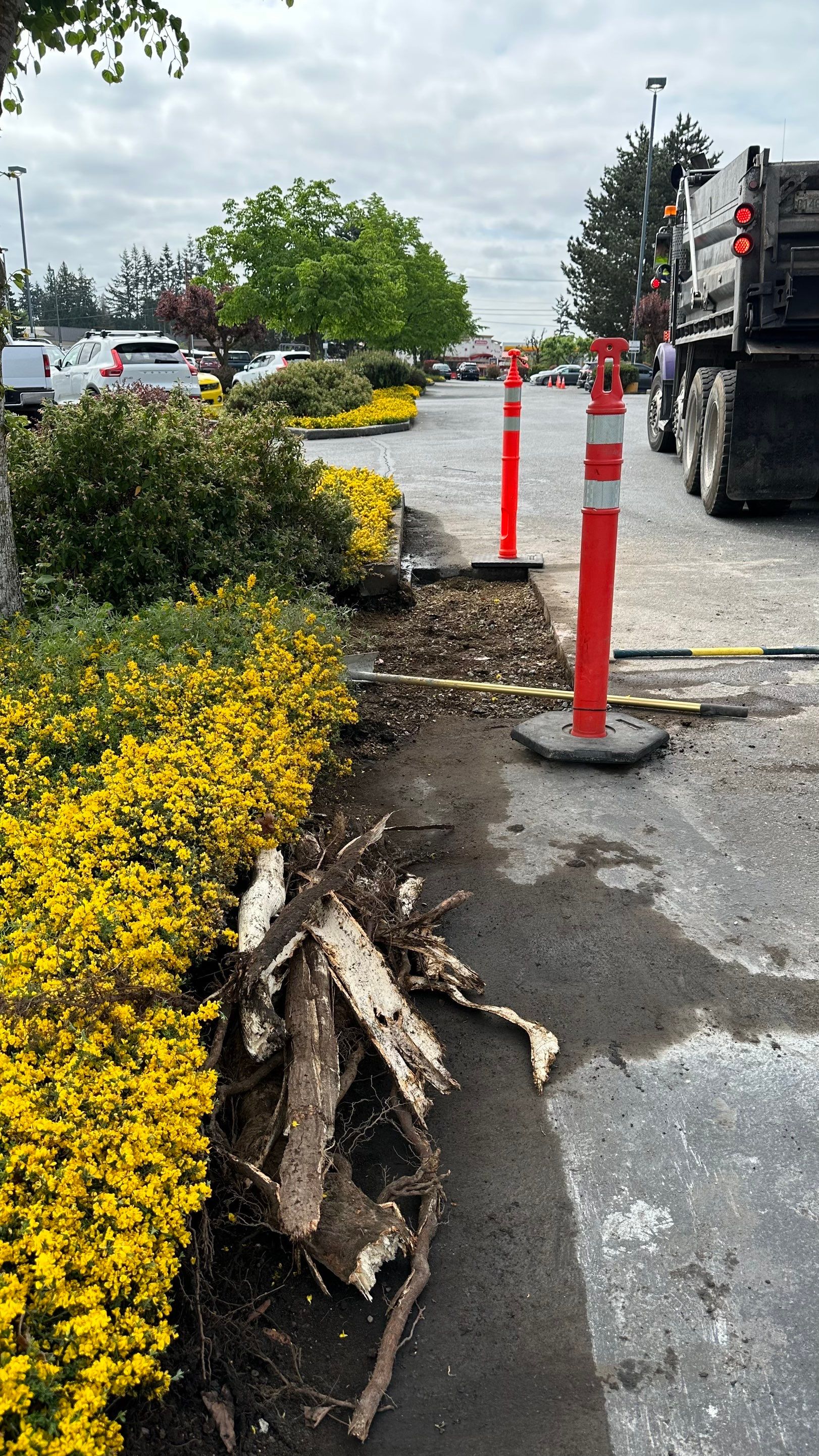 Amanda | Concrete Curb by Jireh Asphalt & Concrete Inc 