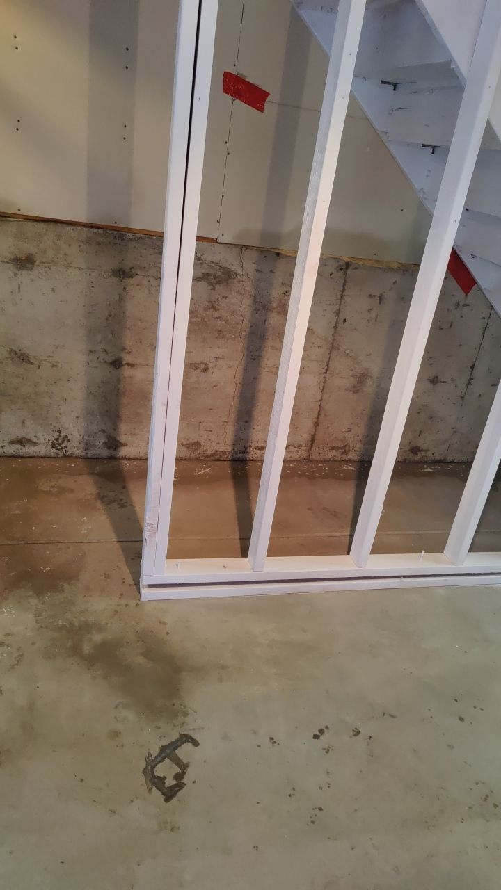 Mold Damage by Accountable Home Services