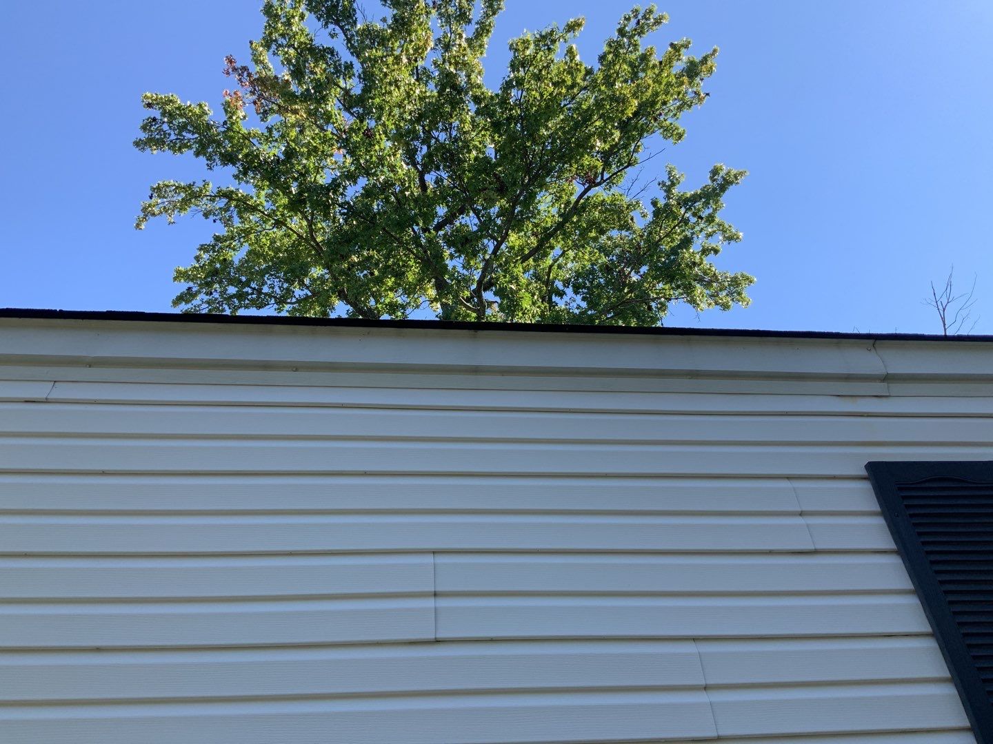 New Roof,Door,Windows by Alpha Design Services