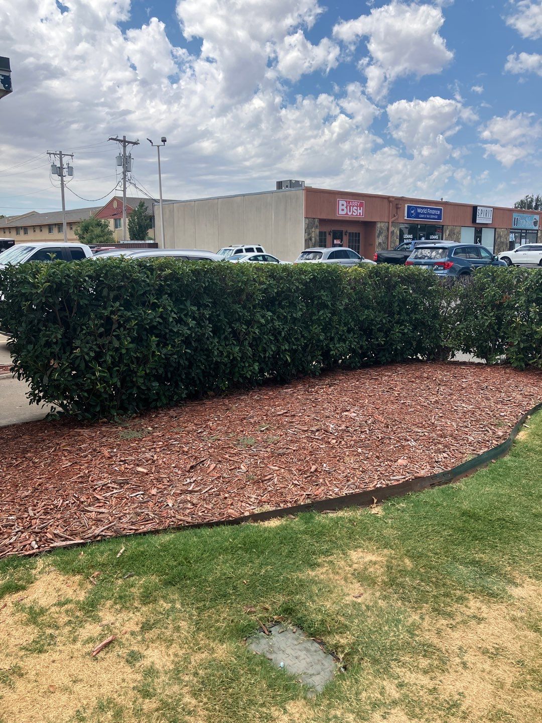 Mulch Replacement using Grade A Cedar by Clays Services Inc