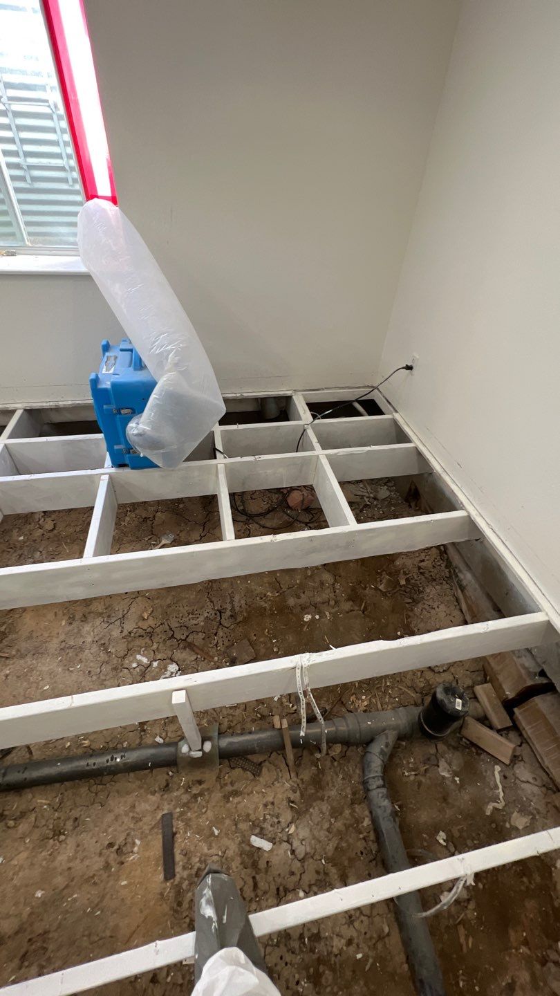 Mold Remediation by Accountable Home Services