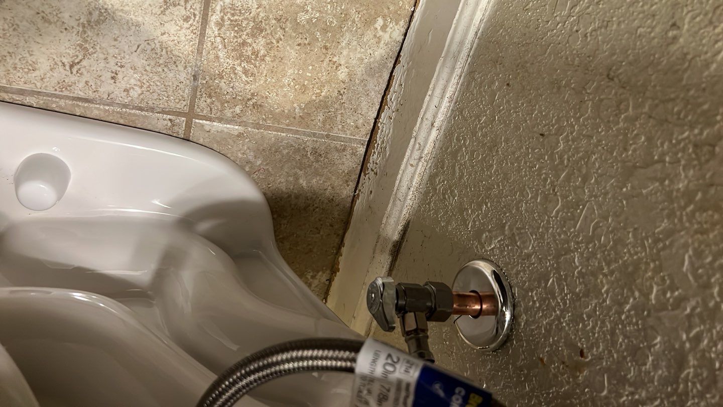 Toilet install and angel valves  by Plumbing Connect Systems LLC
