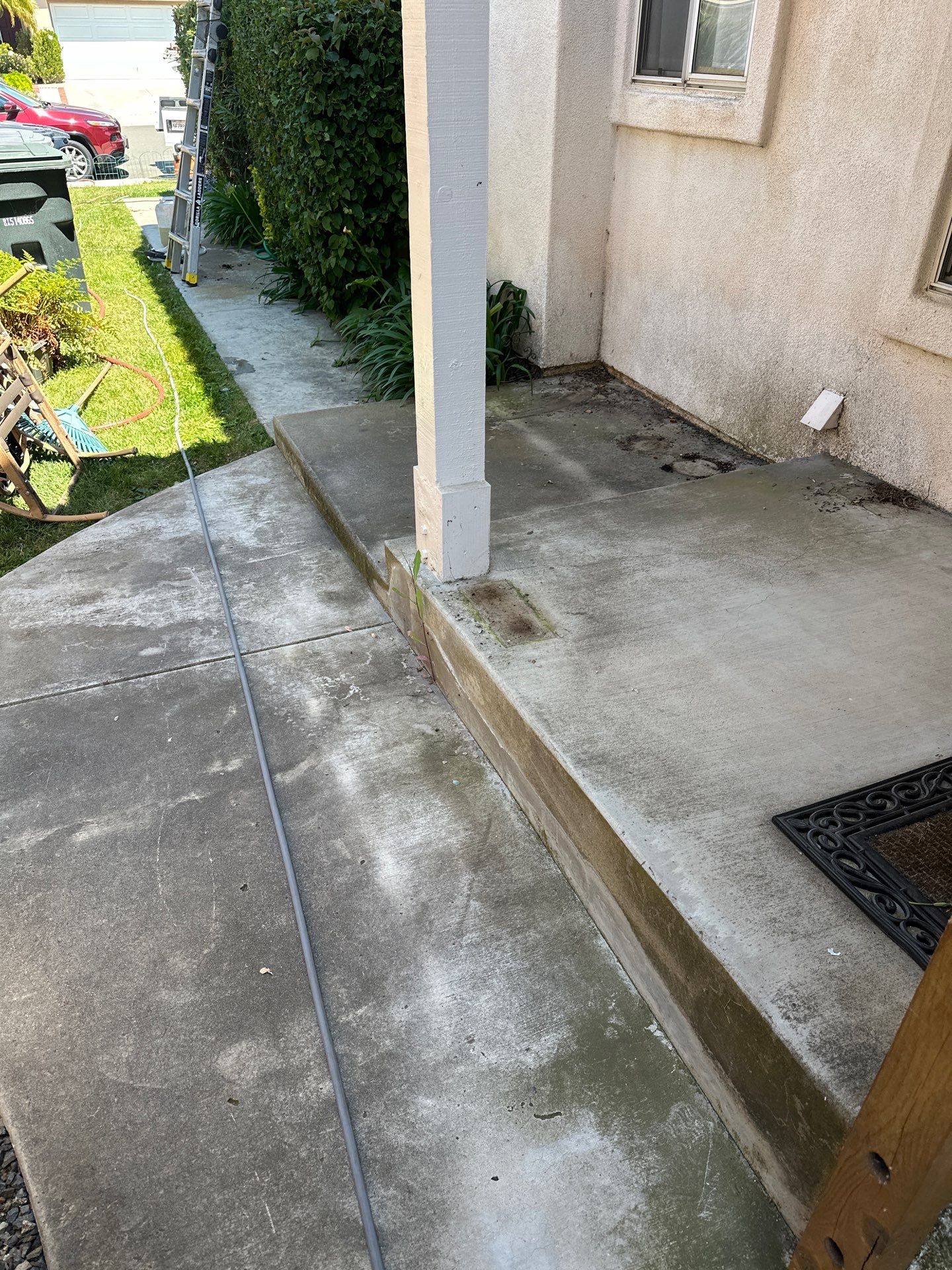 This home was COVERED in growth by Property Cleaning Experts, LLC
