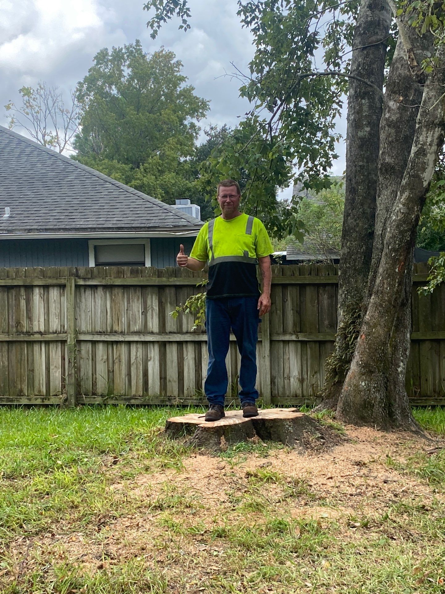 Tree Removal | Residential by ProGreen Services