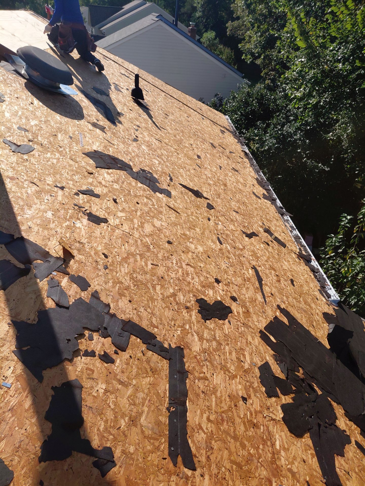 Gainesville: Residential Roof Replacement with CertainTeed Landmark in Moire Black  by RM Banning, Inc.