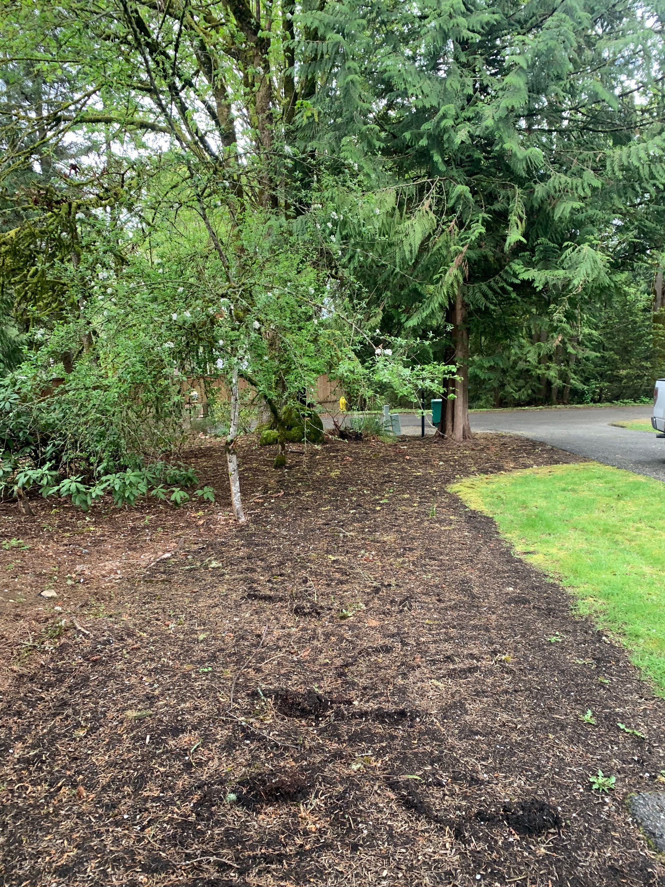 Asphalt Driveway Repair | Woodinville  by Jireh Asphalt & Concrete Inc 