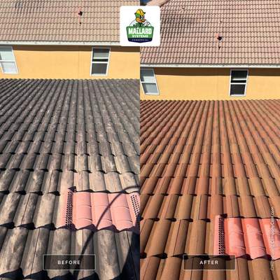 Barrel Tile Roof Cleaning