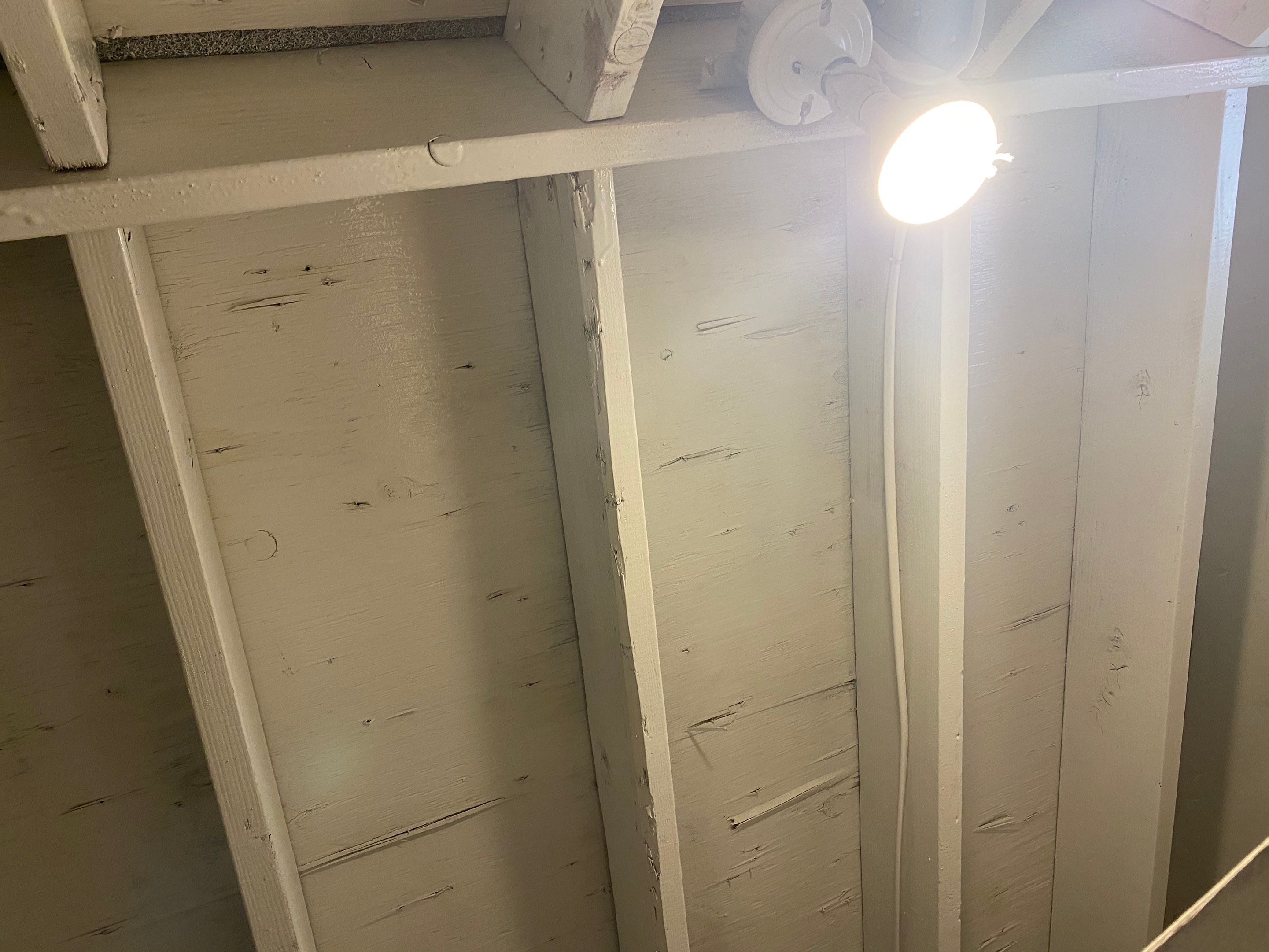 Attic Mold Remediation Job in Vernon Township, NJ by Pure Service Pro, LLC 