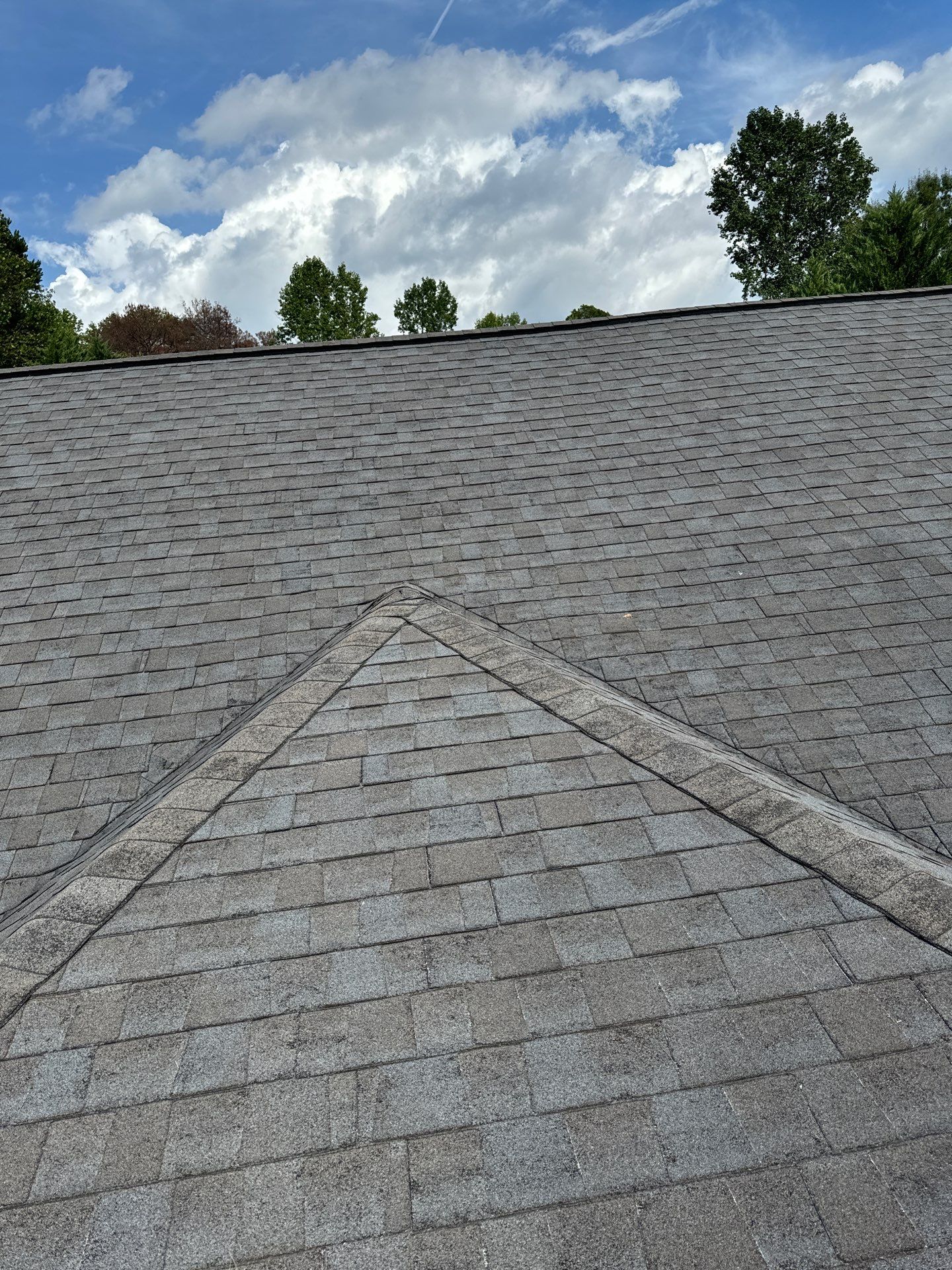 Carol Calhoun by United Contracting and Roofing