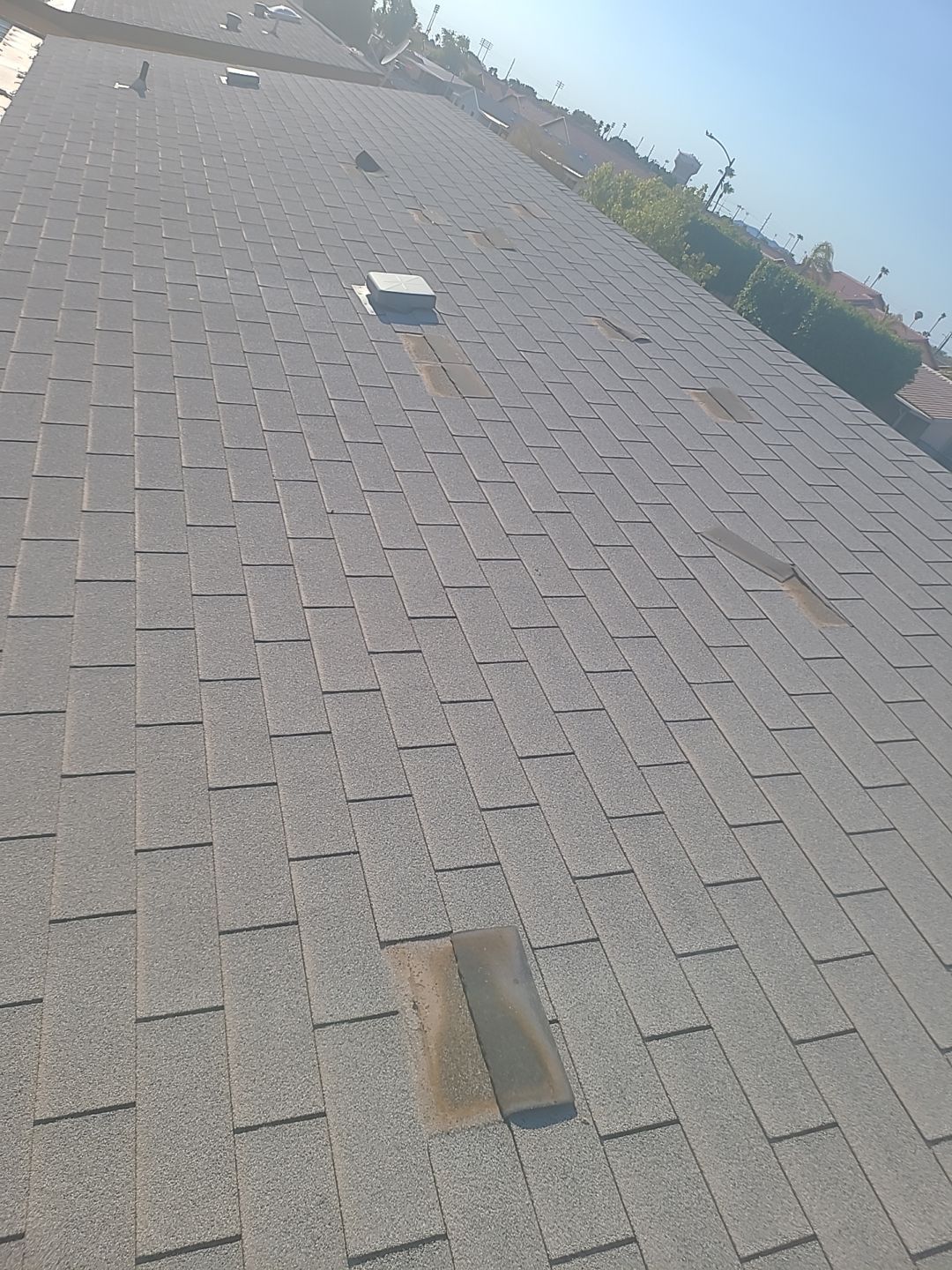 Silver Birch Shingles by Reimagine Roofing