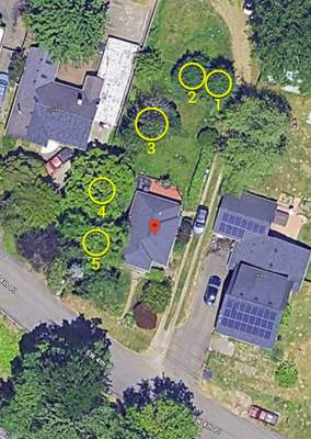 Residential Drainage System Installation in Renton