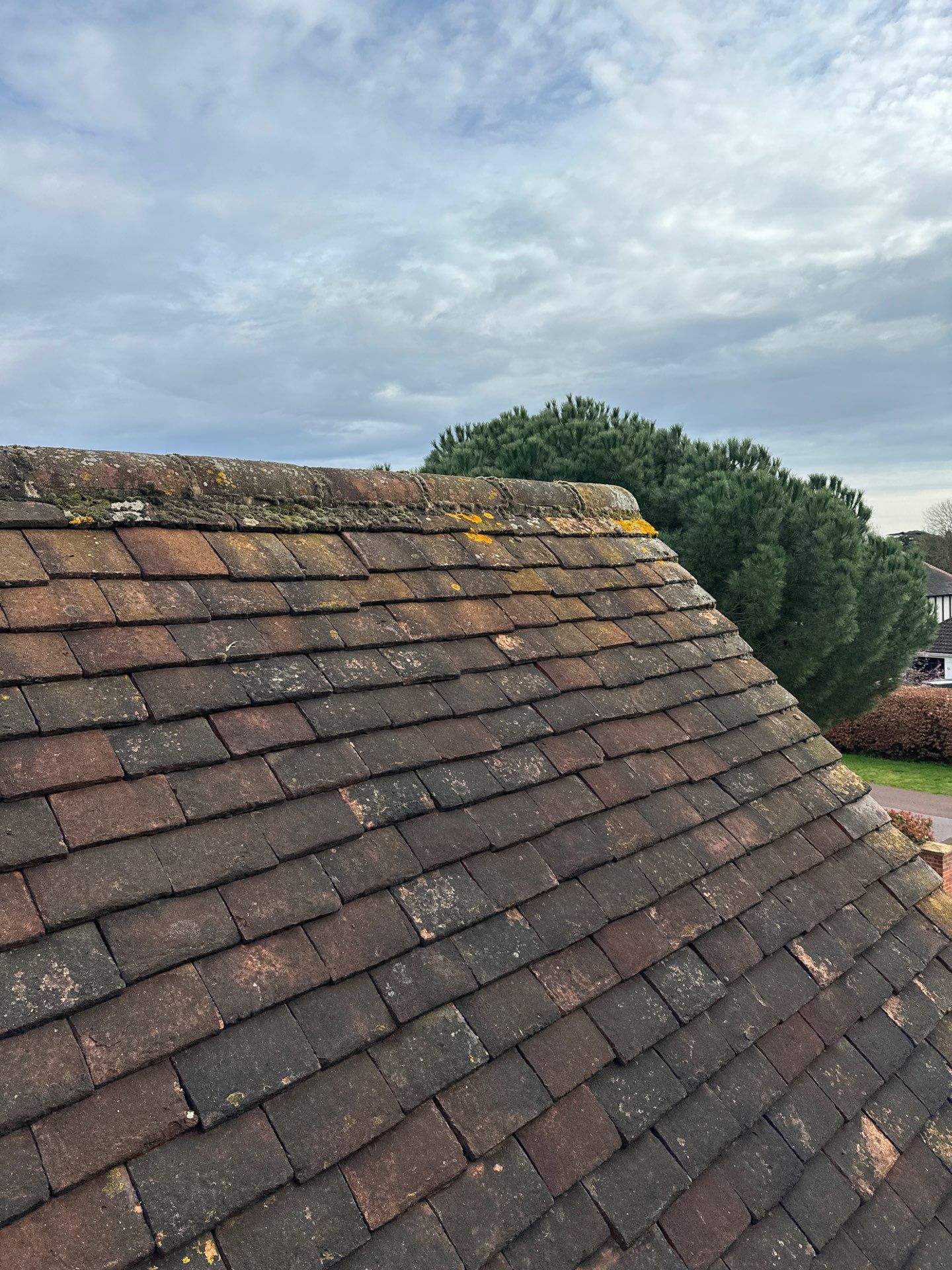 Exterior Clean - Roof - Patio - Driveway using Mosmatic FSC and Biocide by Ges Exterior Cleaning ltd