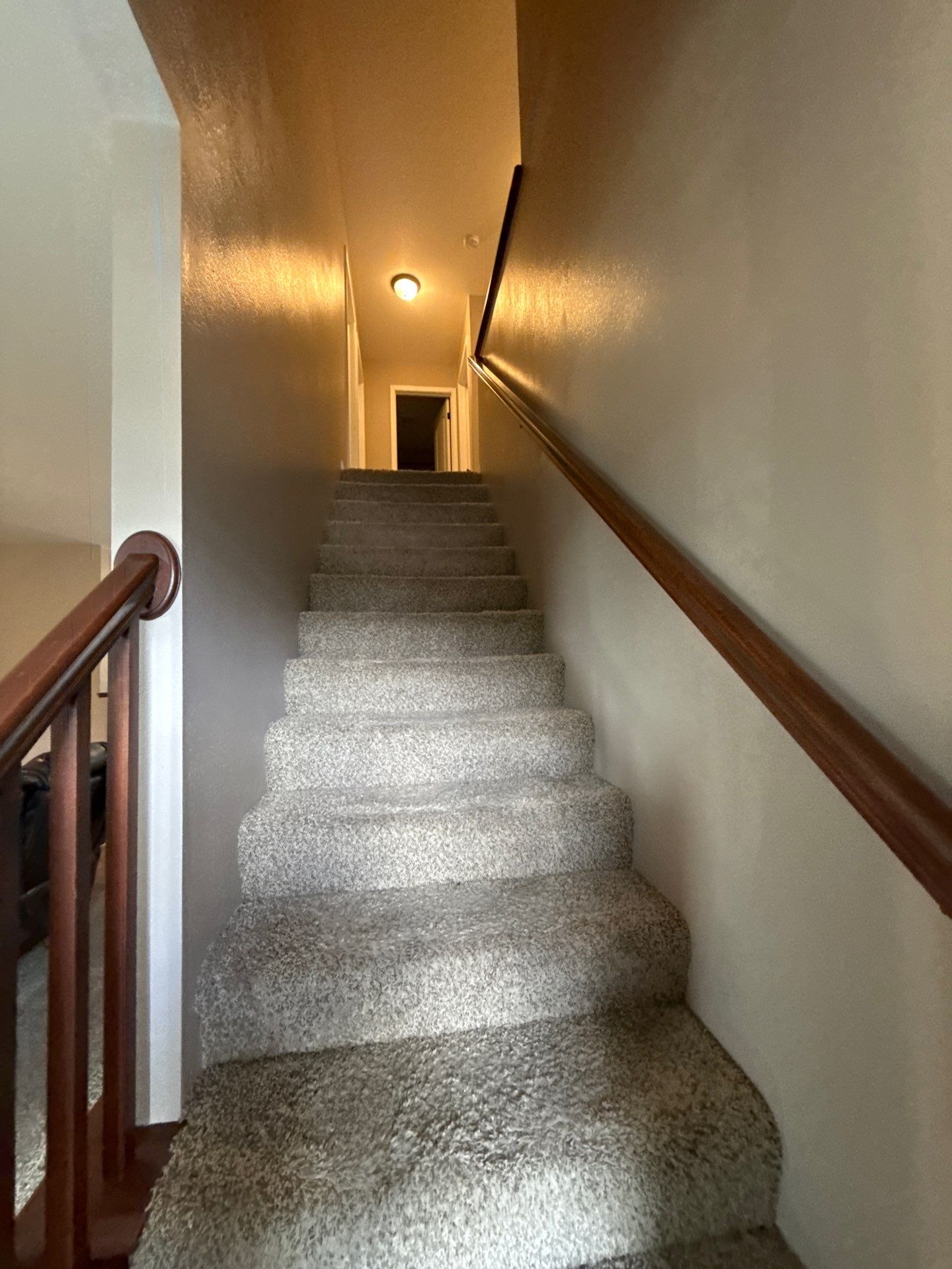 Residential Interior Refresh by Midwest Paint LLC