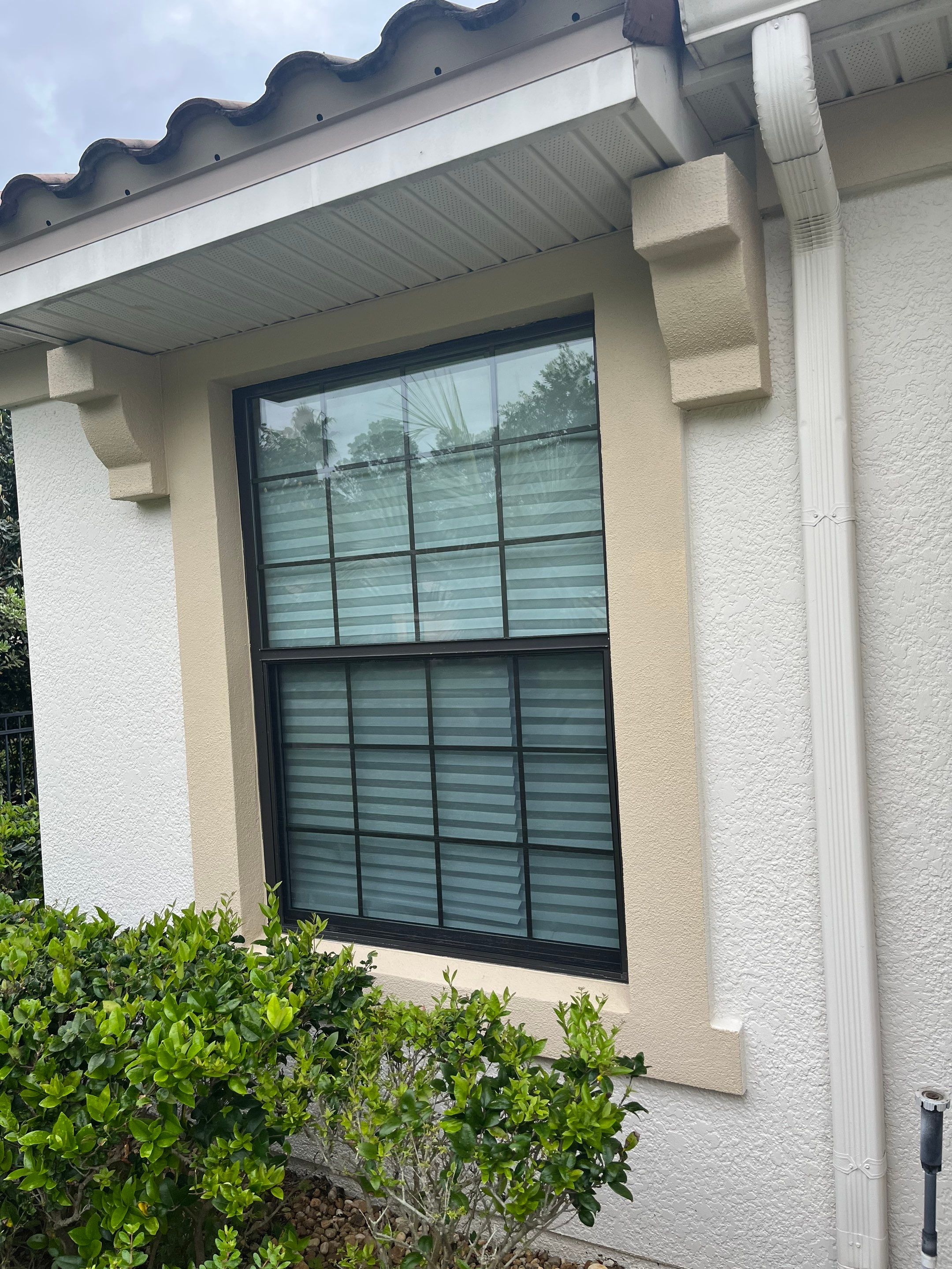 Bronze Single Hungs & PW's by NewSouth Window Jacksonville