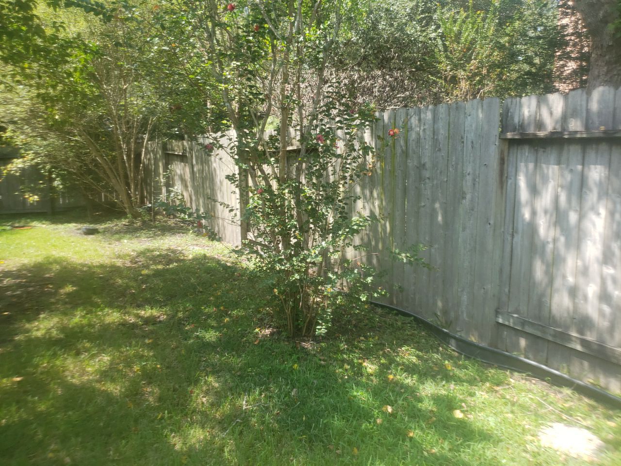 6'6" Western Red Cedar Fence Install by Astro Outdoor Designs 