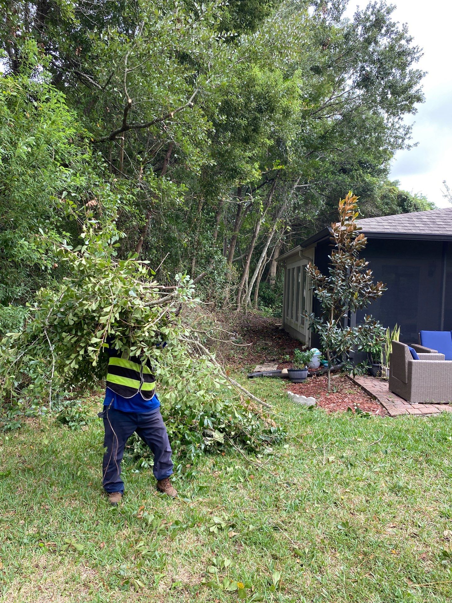 Deerwood Residence | Property Clean Up  by ProGreen Services