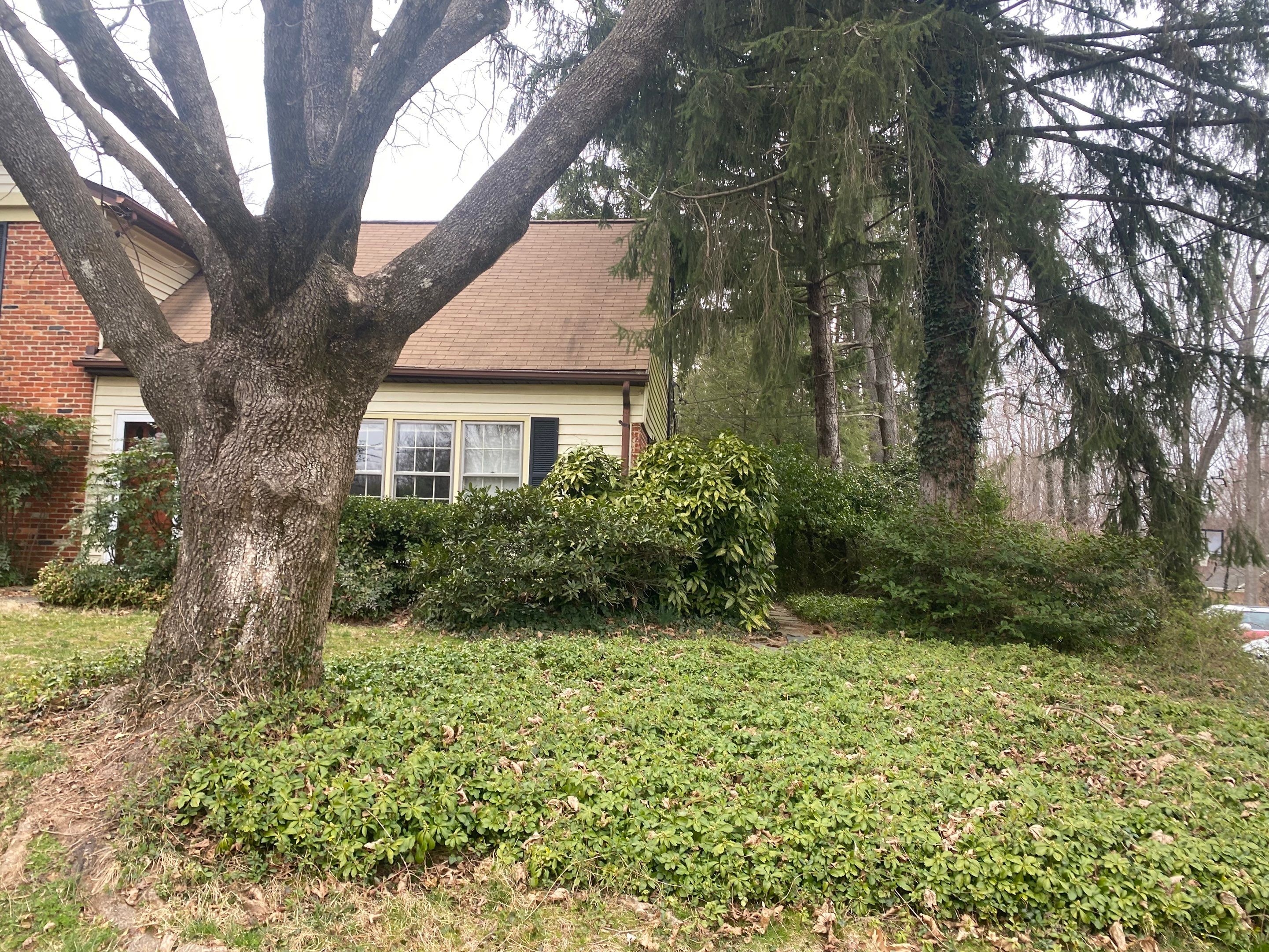 Landscape cleanup & drainage by The Smet Companies, LLC