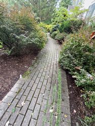 Paver Re-Leveling in Harding, NJ — Gallo Bros job photo