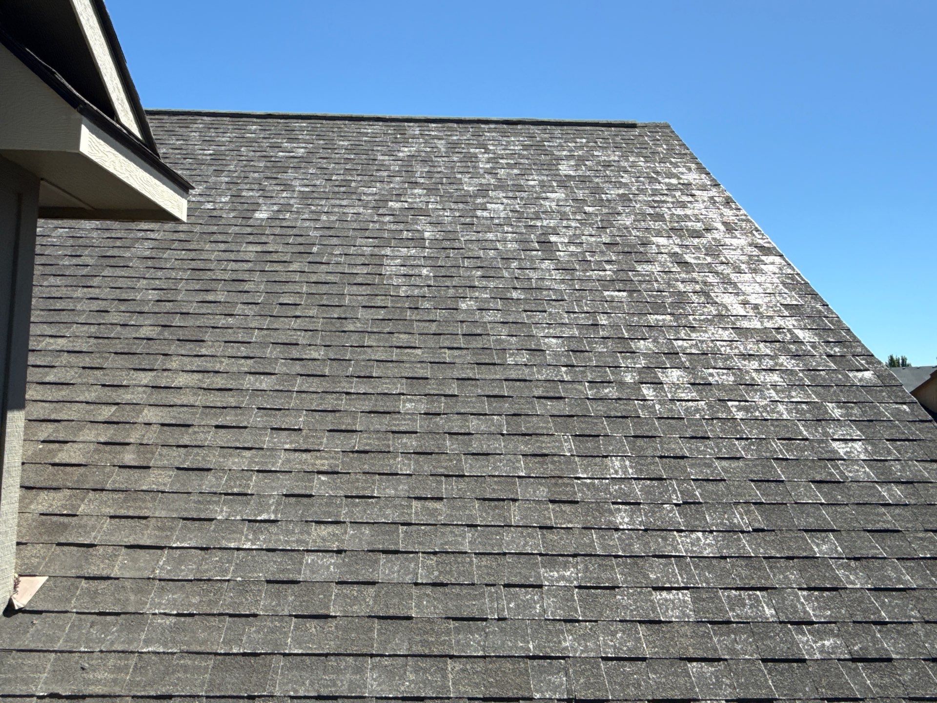 Boise Residential Roof Replacement Featuring Multi-Toned Architectural Shingles by Olive Roofing