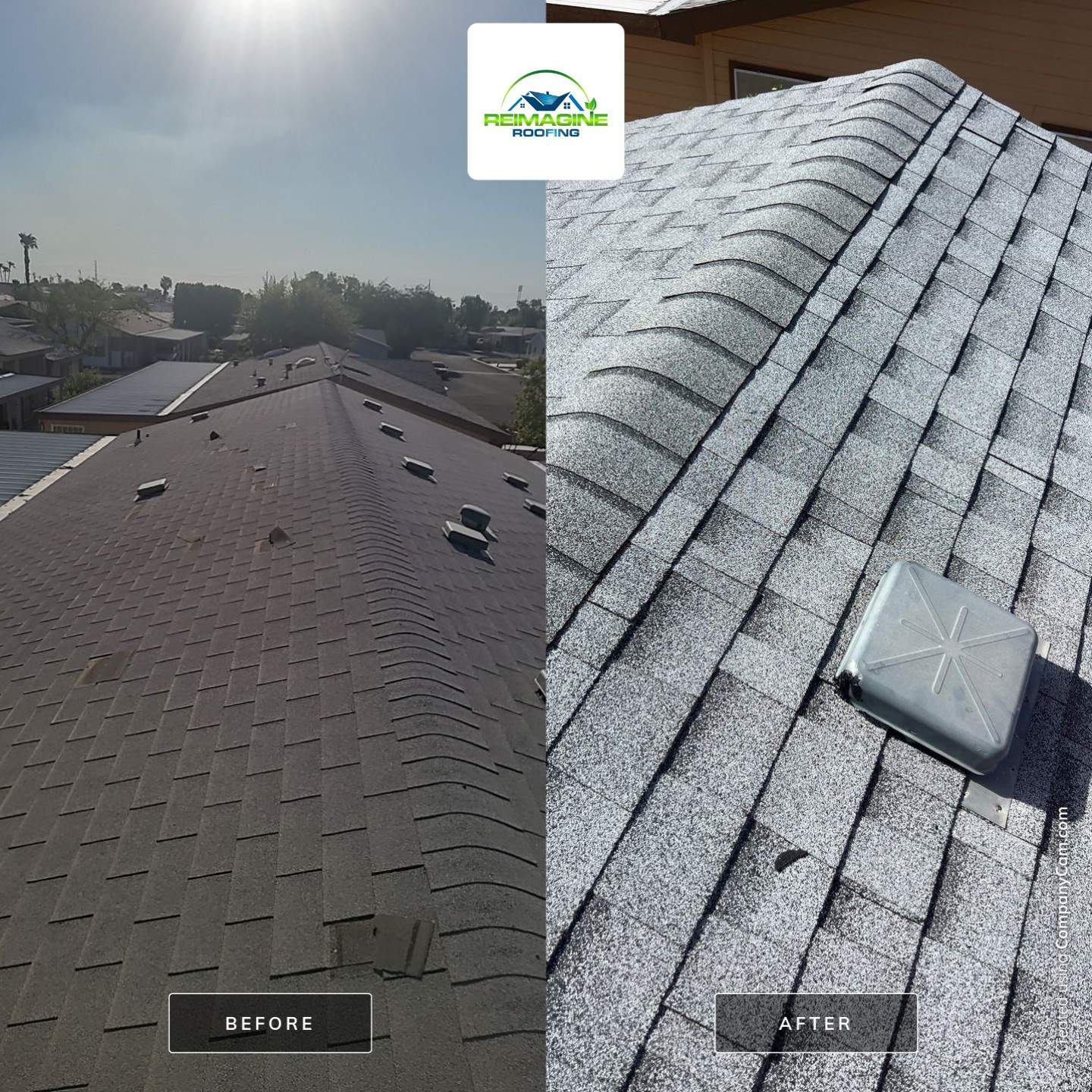 Silver Birch Shingles by Reimagine Roofing