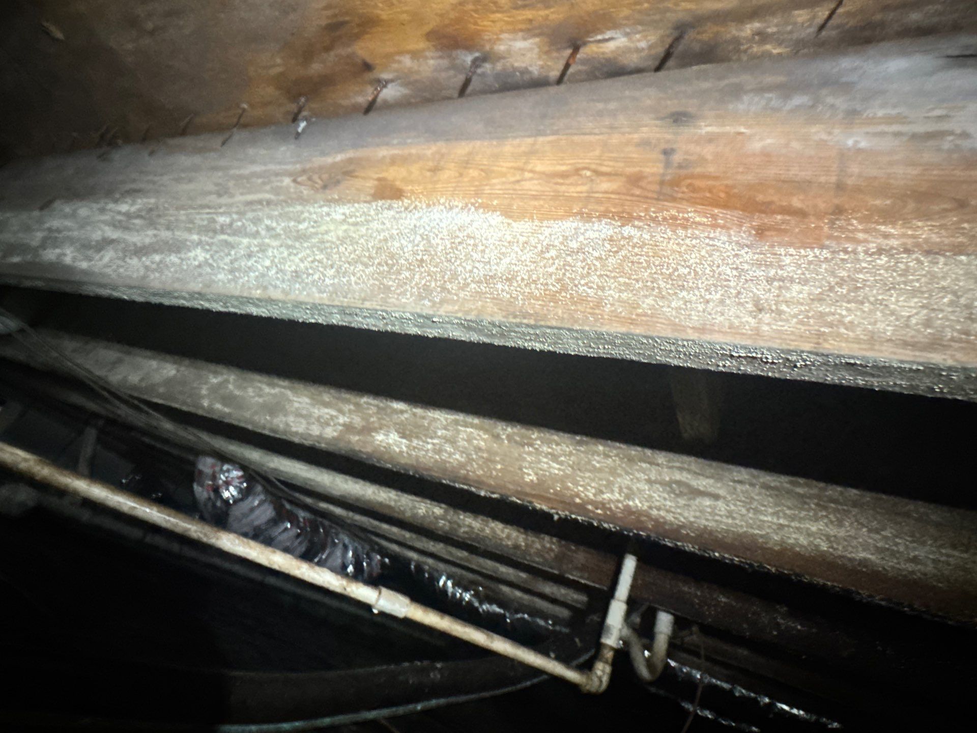 Project in Carrsville by Patriot Crawl Space Repairs