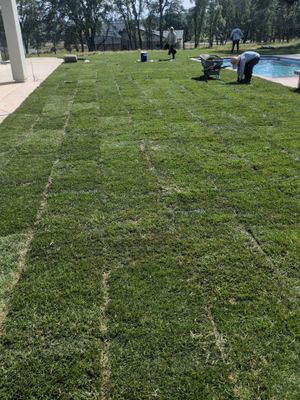 Project in Cameron Park