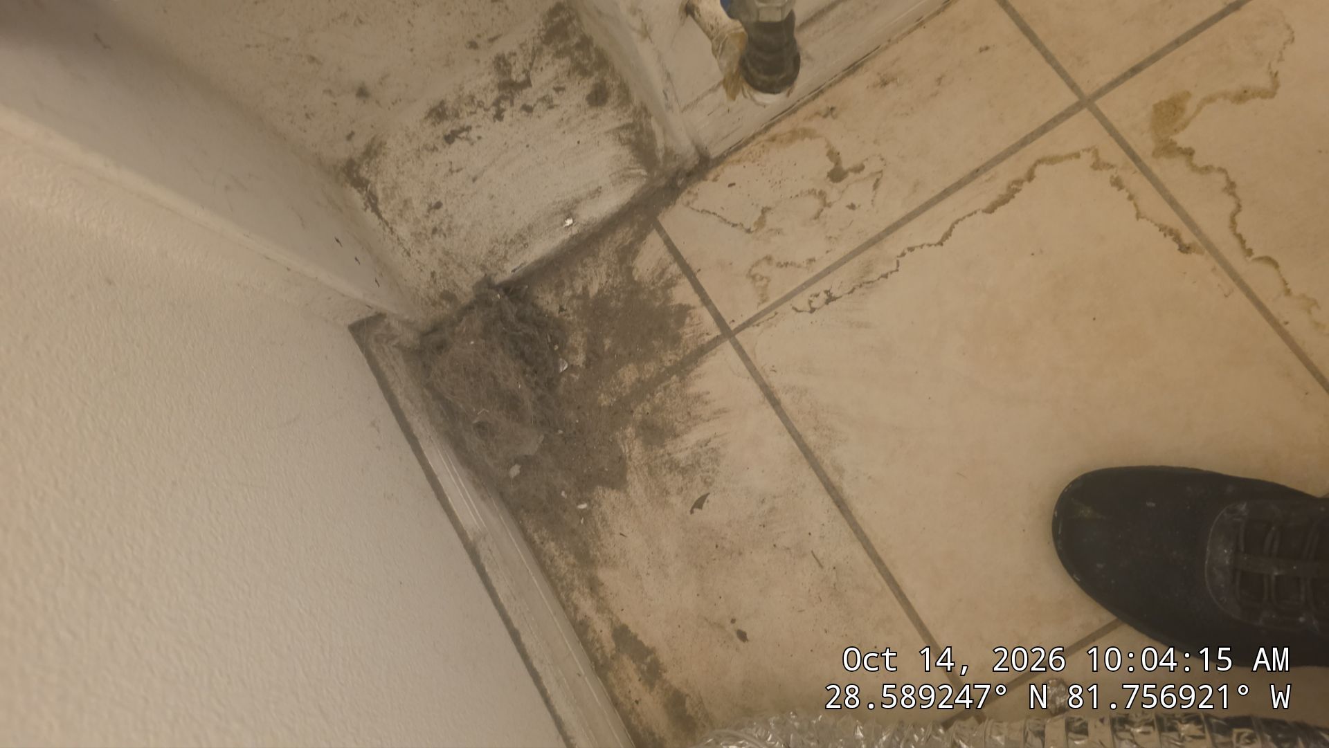 Dryer Exhaust Inspection & Service — Minneola by Hygienic Air, Inc