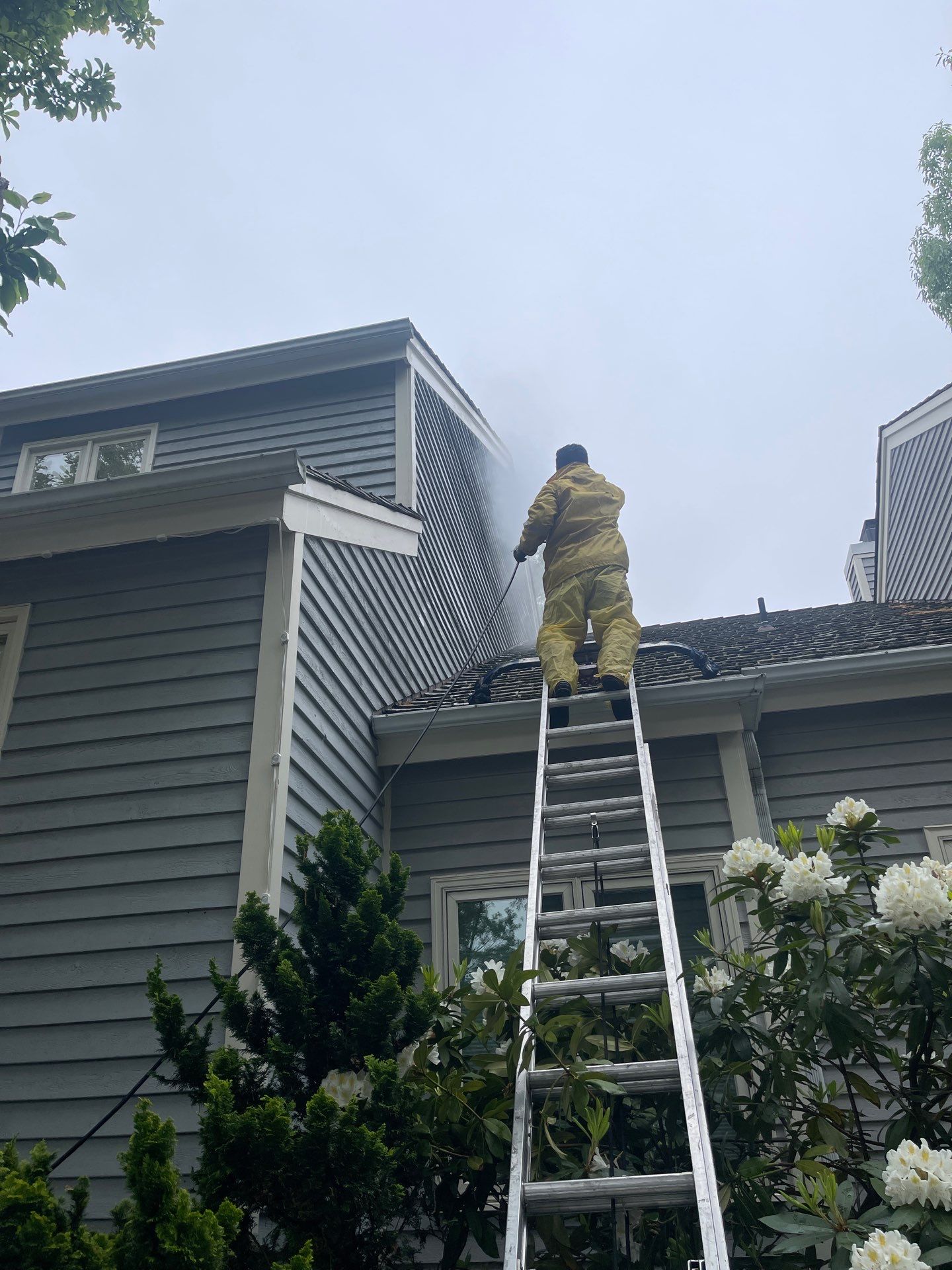 Exterior Washing in Reston, VA by My Painter 