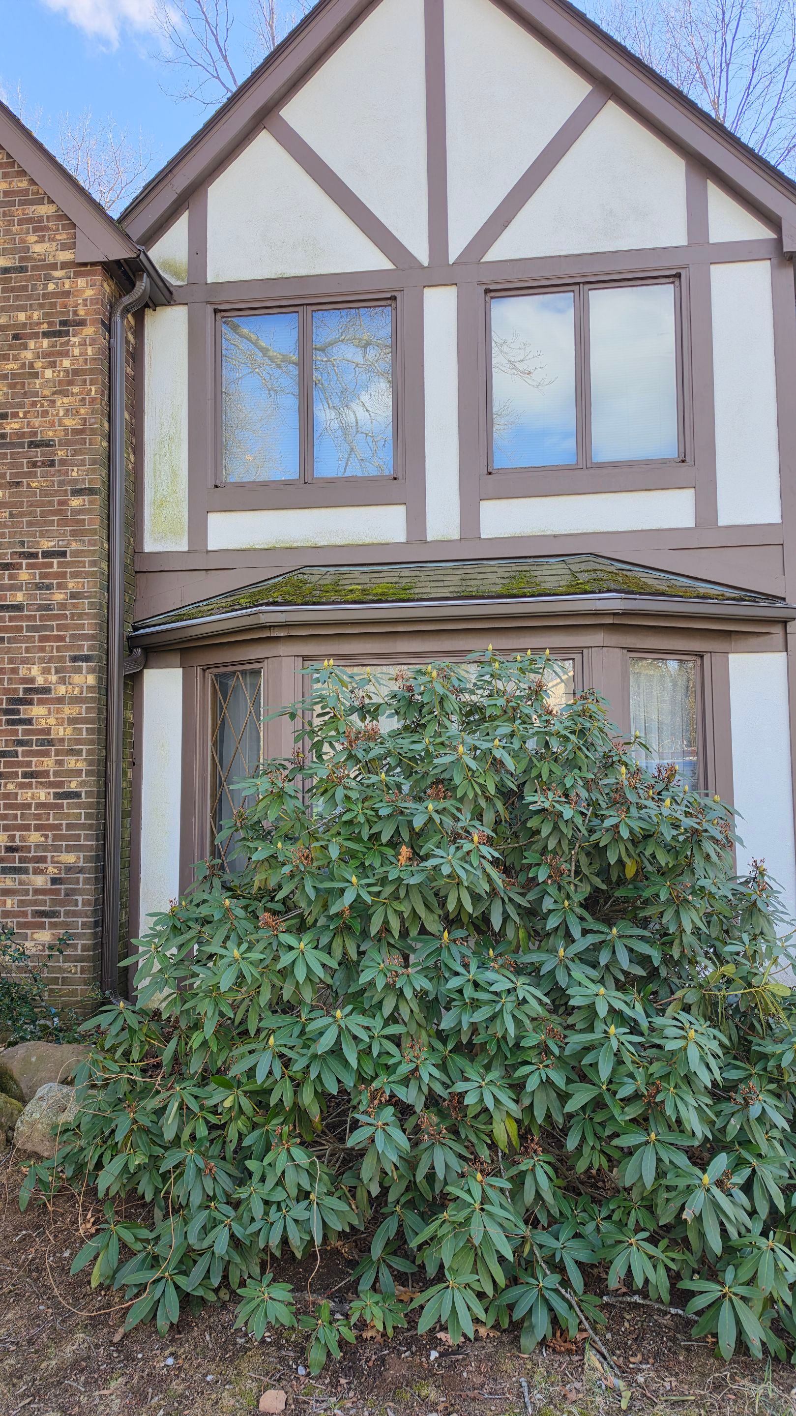 Raintech Transformation Musket Brown  by DiGiorgi Roofing and Siding Inc