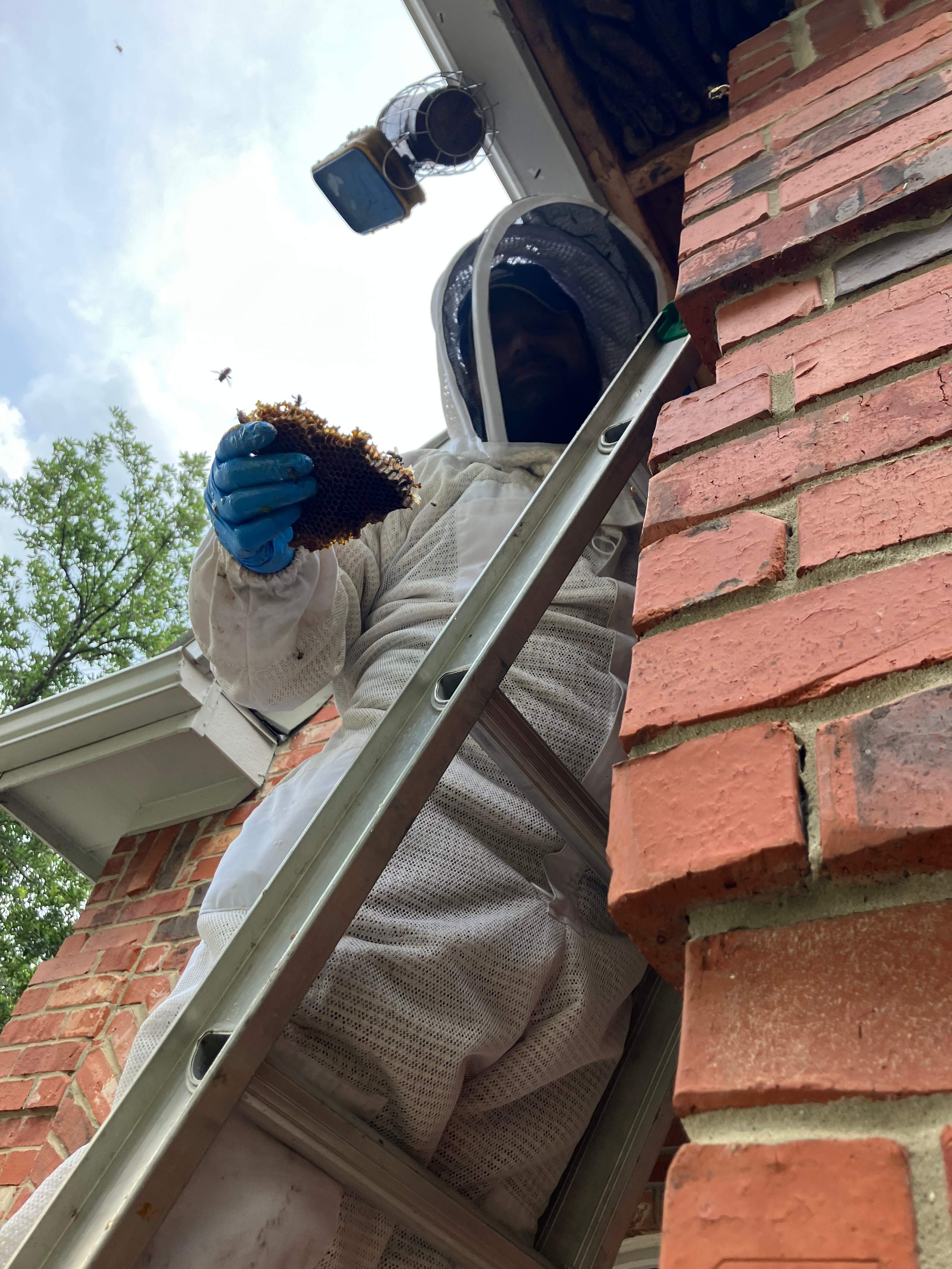 Caution! by Rockwall Honey Bee Company