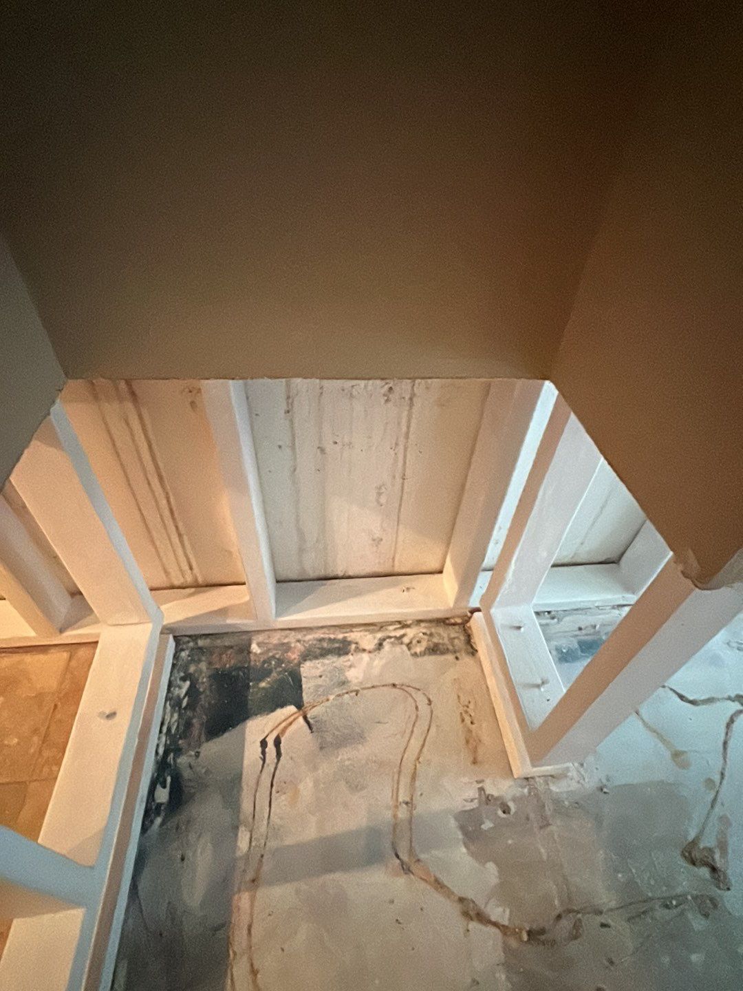 Mold Damage by Accountable Home Services