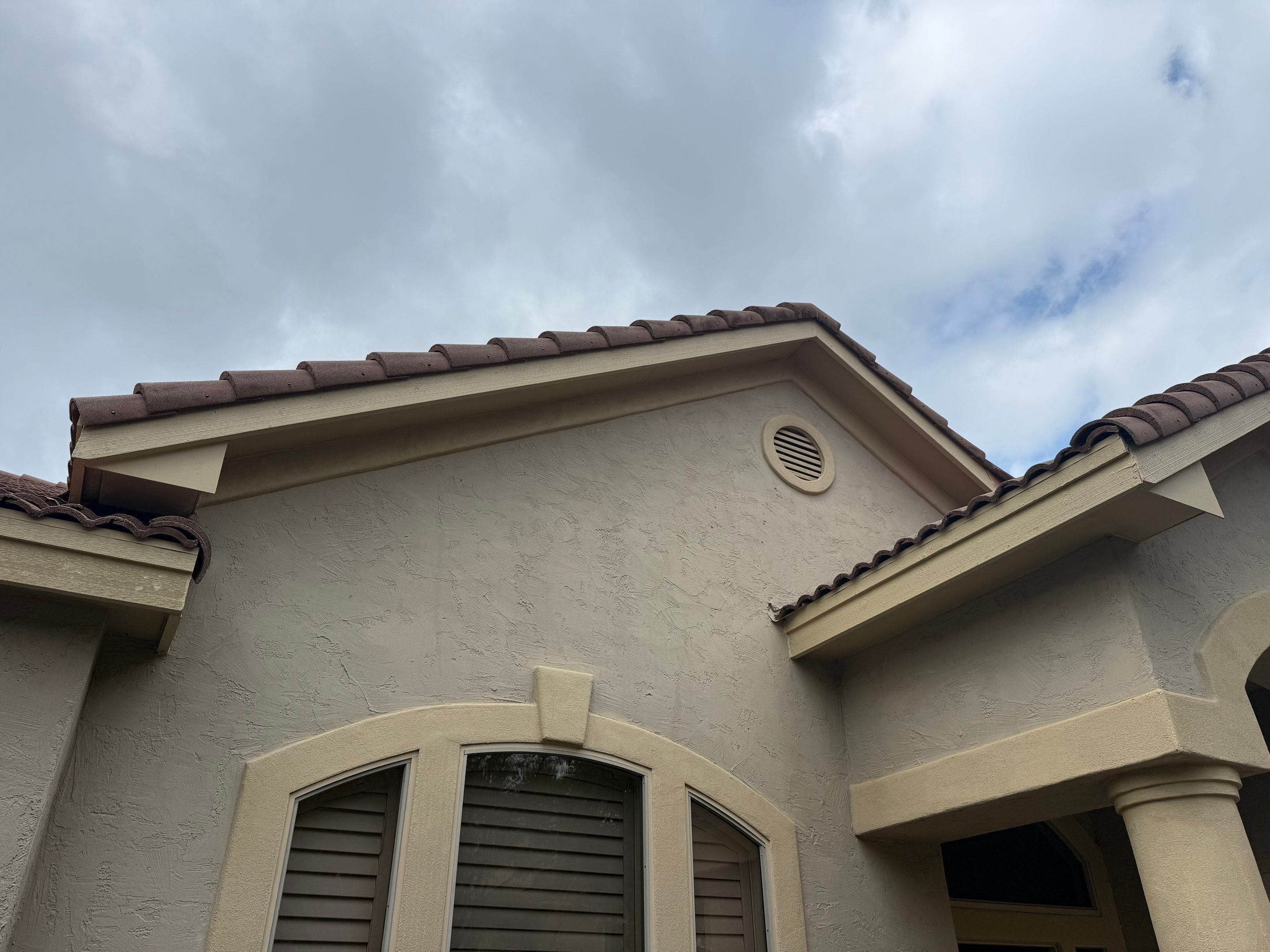 Fascia Carpentry Repair and Paint  by Rox Roofing