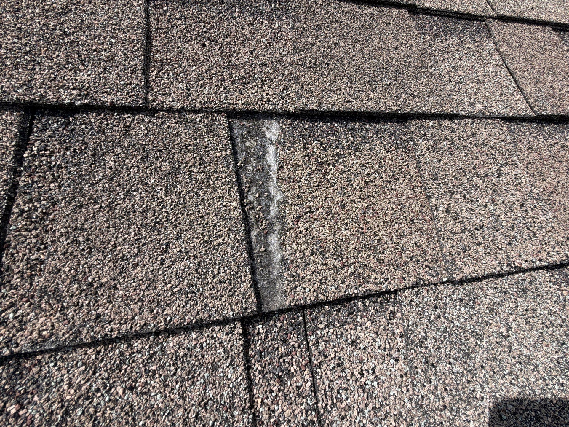 Collier Bridge Lane Hoschton Roof Replacement  by Dom Roofing & Restoration