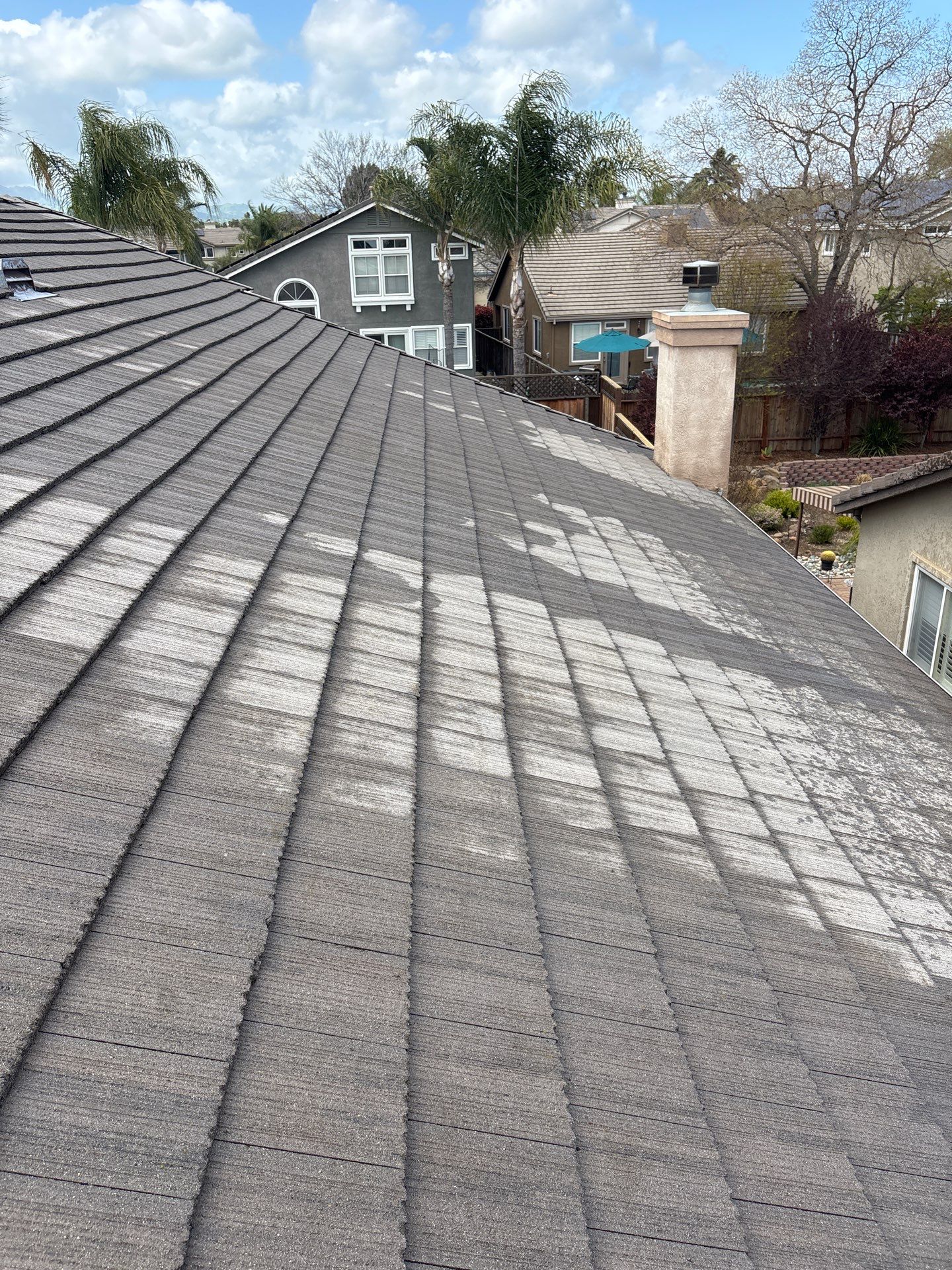 Moss Removal by Top Elevation