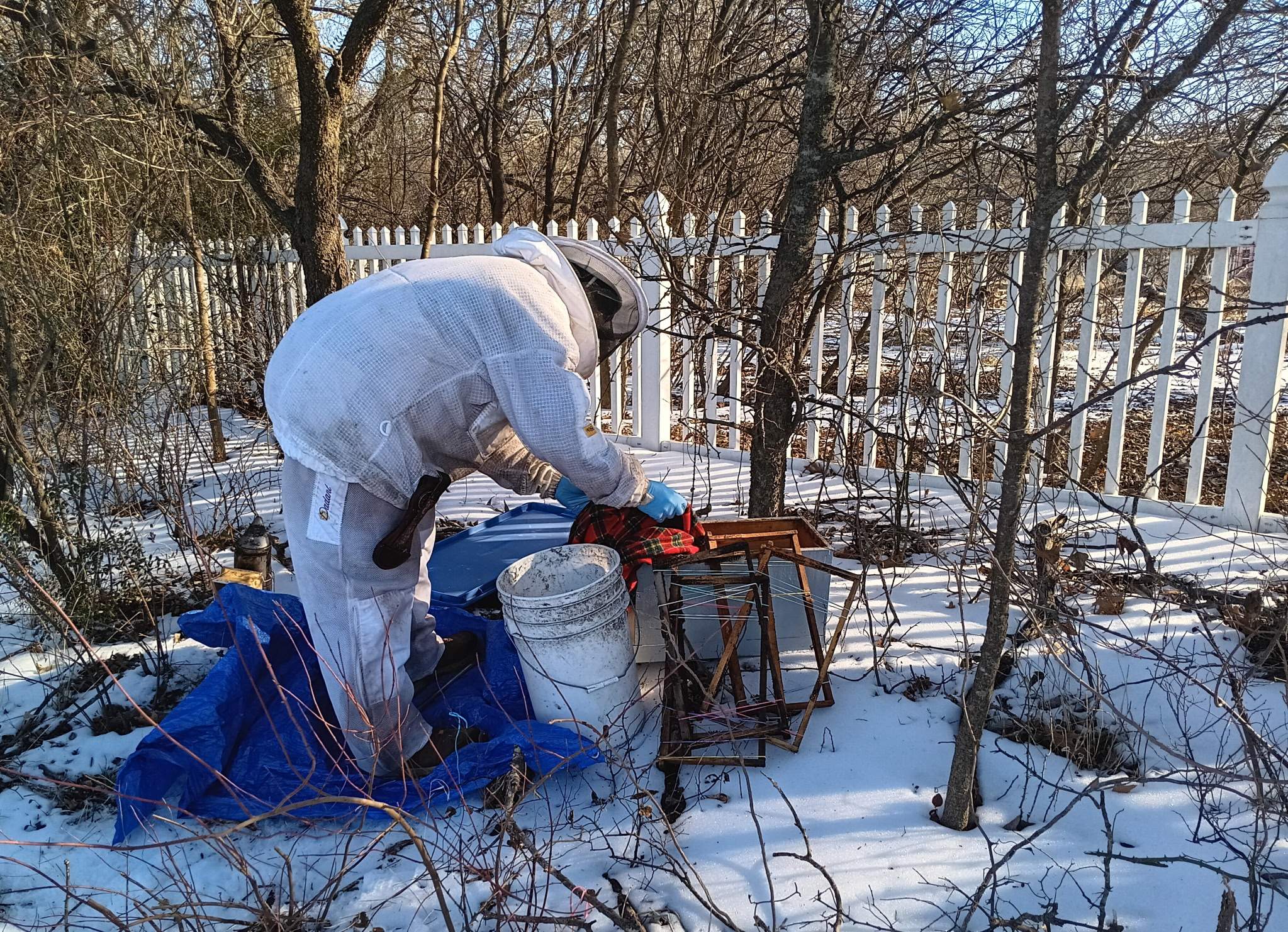 Winter Freeze Bees by Rockwall Honey Bee Company