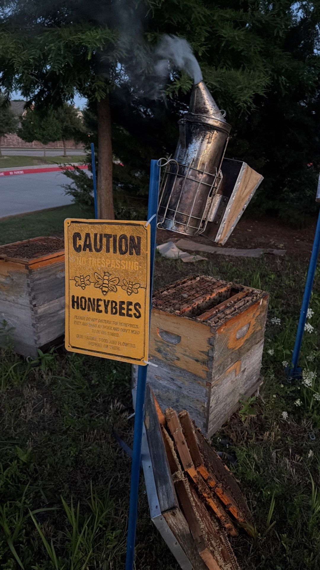 Bees by the Lot by Rockwall Honey Bee Company