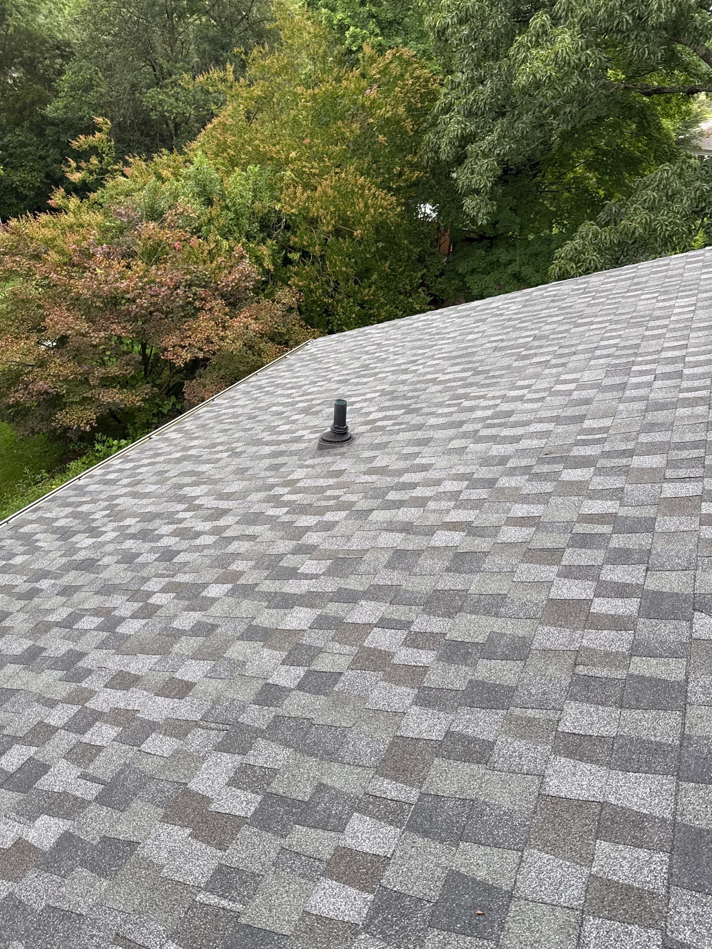 Alexandria: Residential Roof Replacement with GAF Timberline HDZ in Nantucket Morning by RM Banning, Inc.