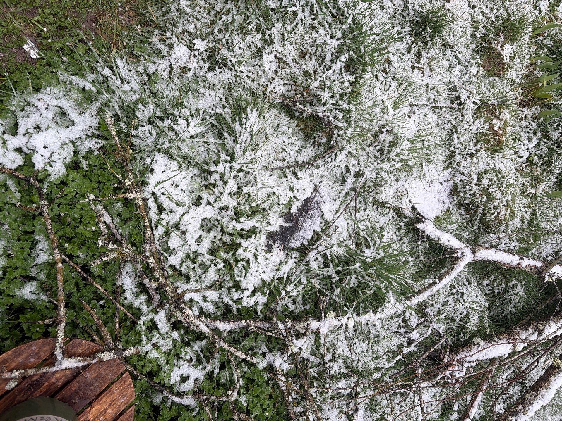 Roof in Lake Stevens by Connolly Construction Company