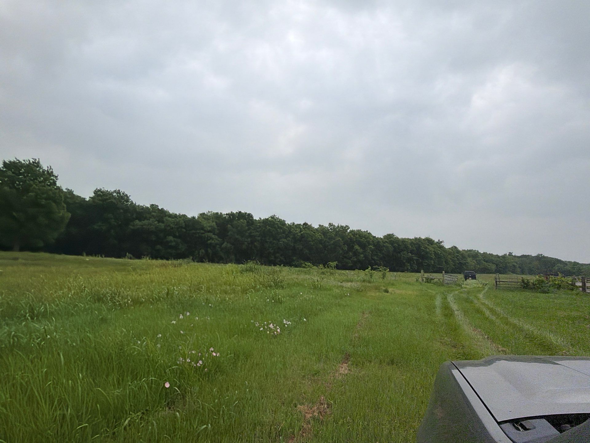 Special Use Valuation in McClendon-Chisolm by Rockwall Honey Bee Company