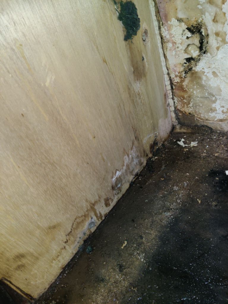 Mold Remediation using Containment by Accountable Home Services